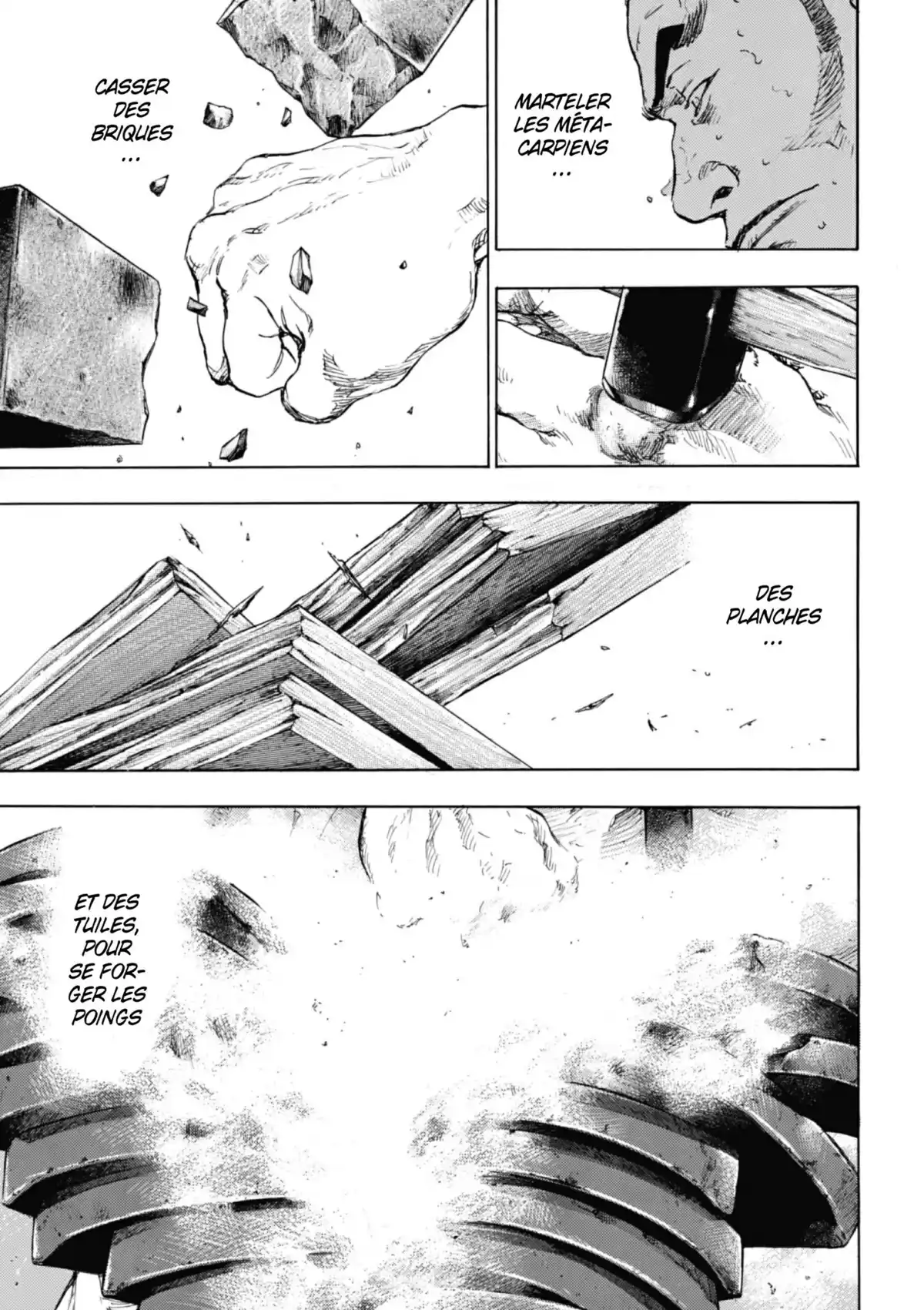 Coq de Combat Volume 11 page 90