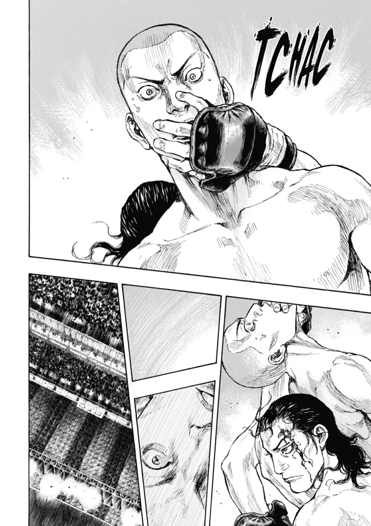 Coq de Combat Volume 27 page 38
