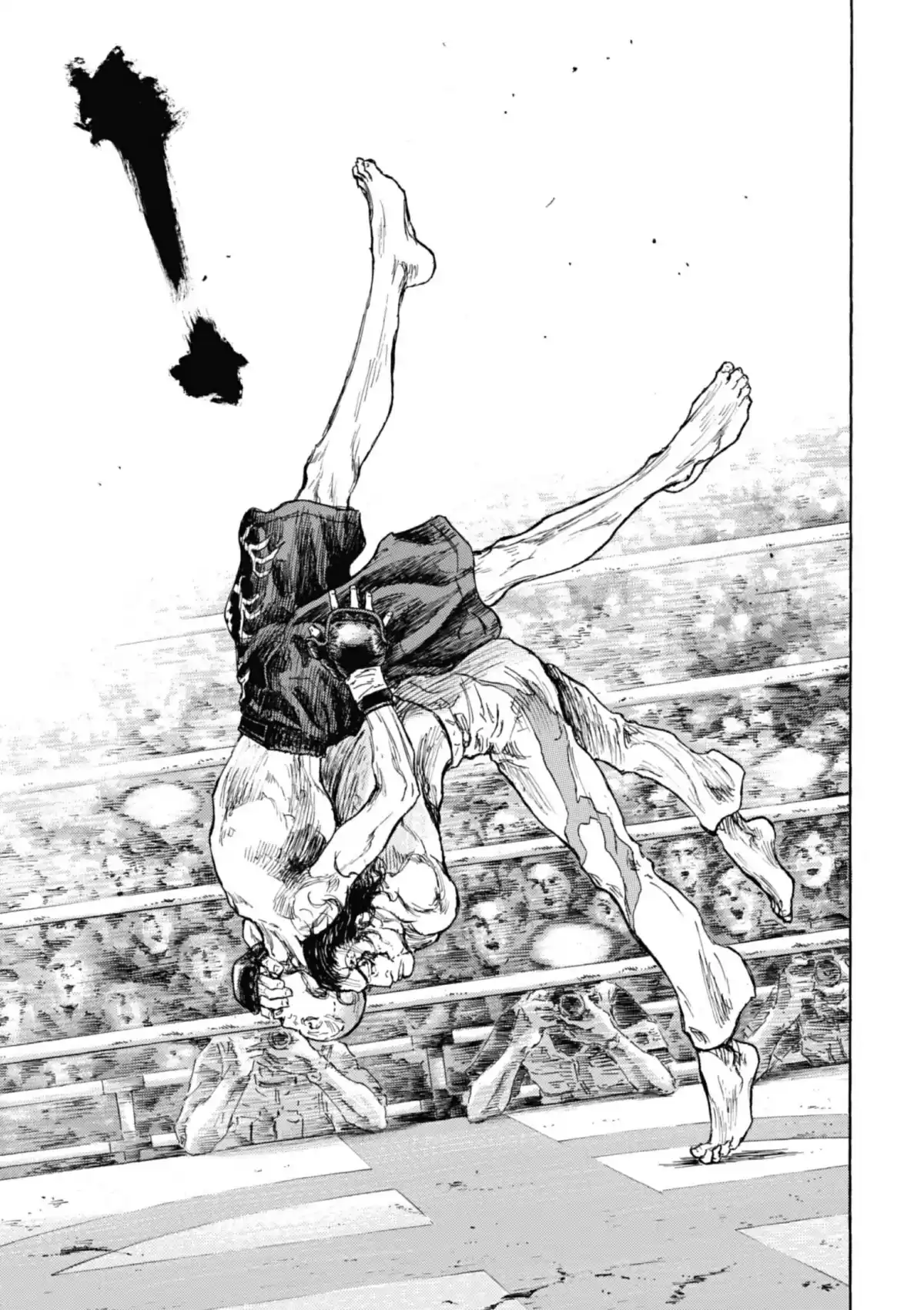 Coq de Combat Volume 27 page 39