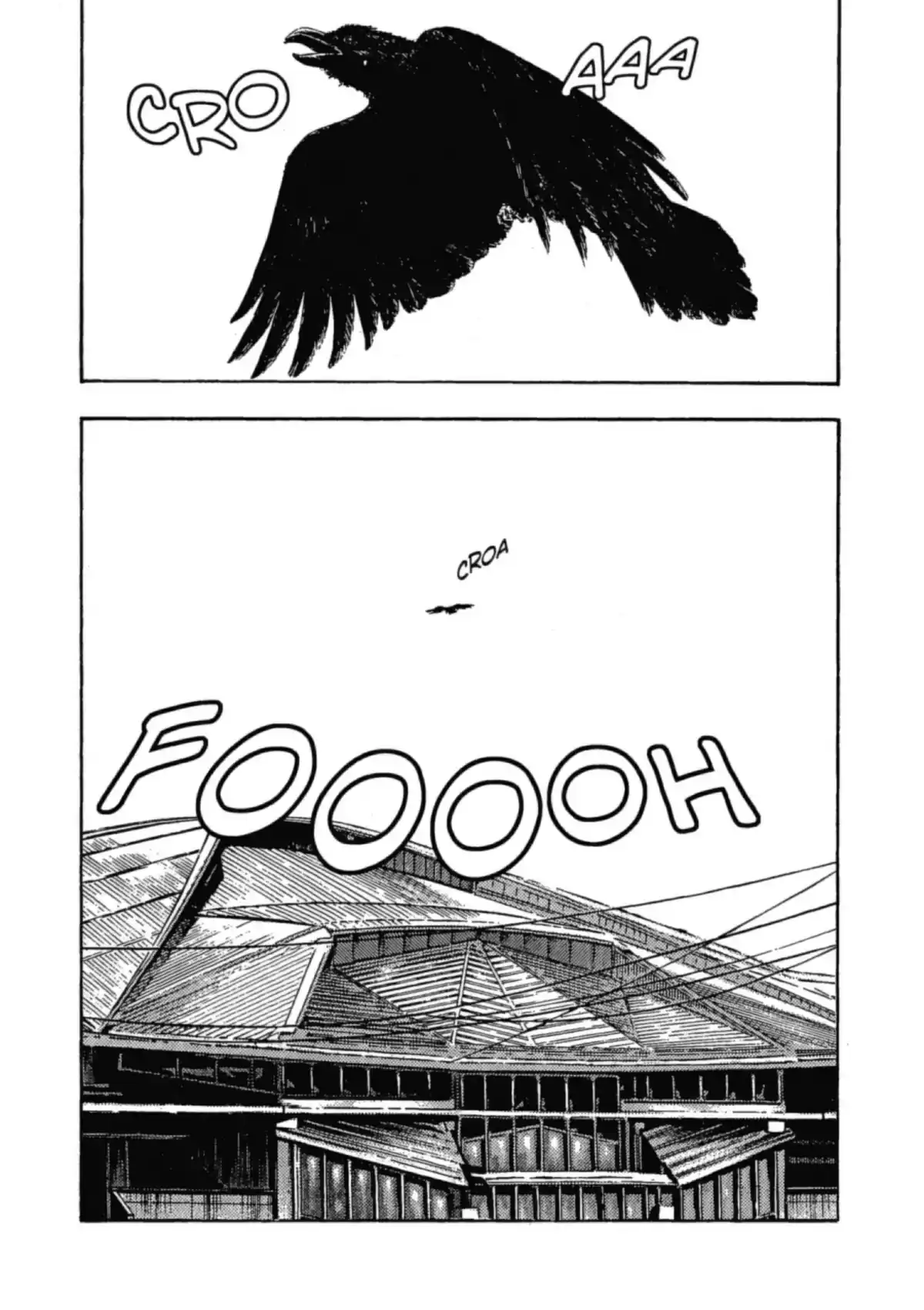 Coq de Combat Volume 5 page 126