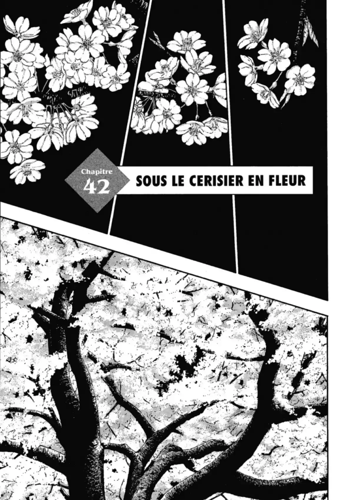 Coq de Combat Volume 5 page 24