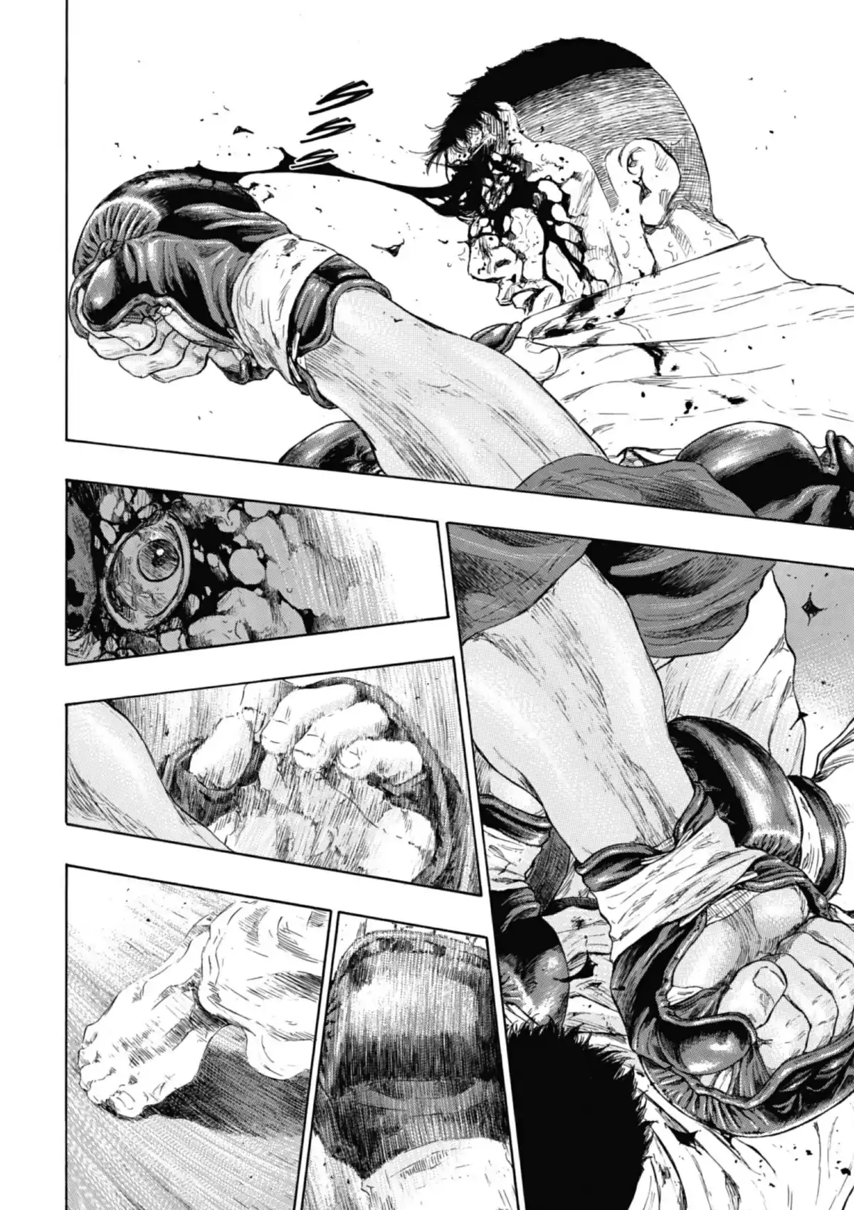 Coq de Combat Volume 26 page 68