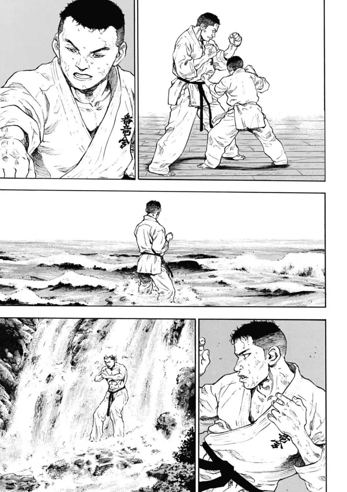 Coq de Combat Volume 12 page 114