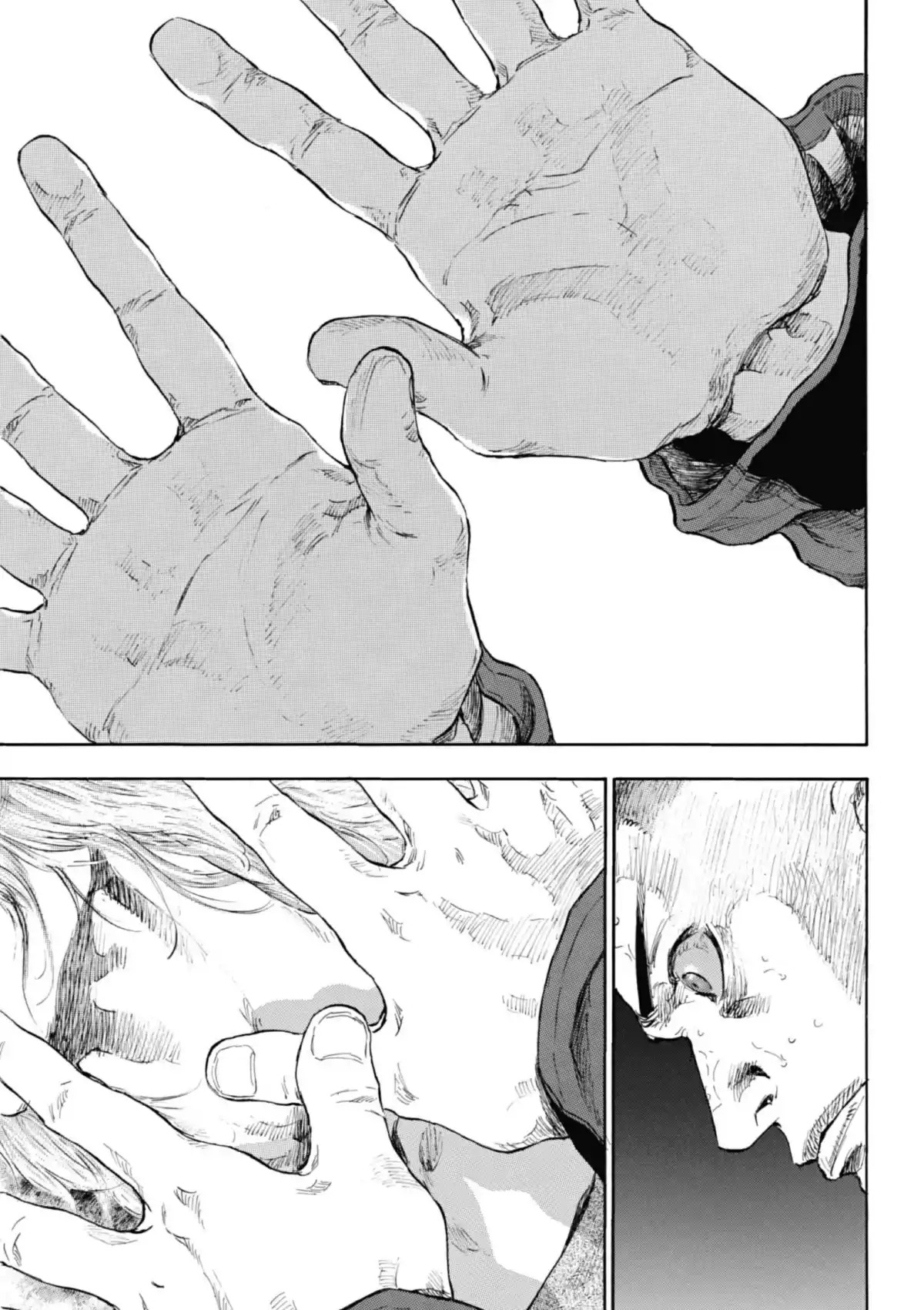 Coq de Combat Volume 12 page 133