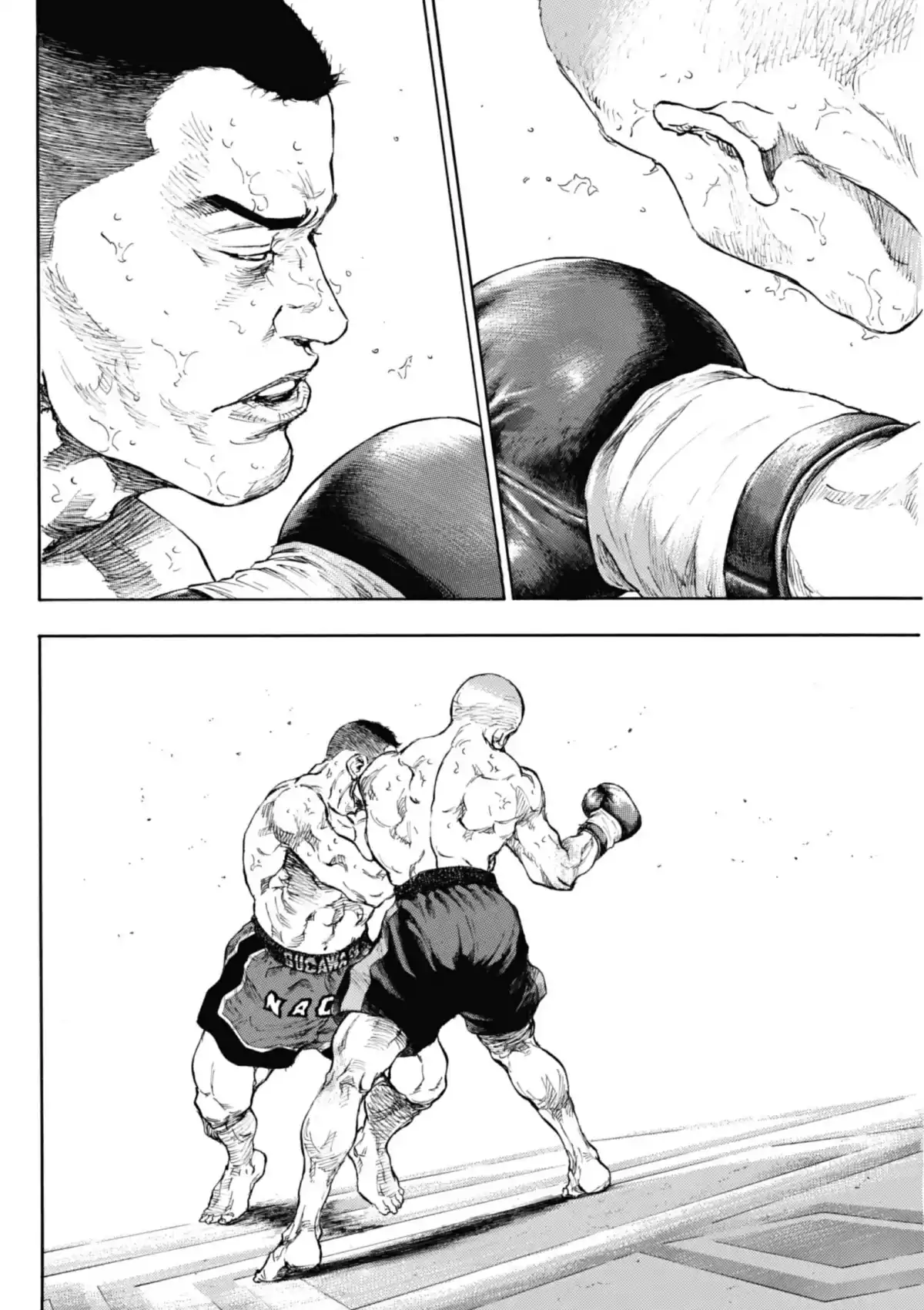 Coq de Combat Volume 12 page 50