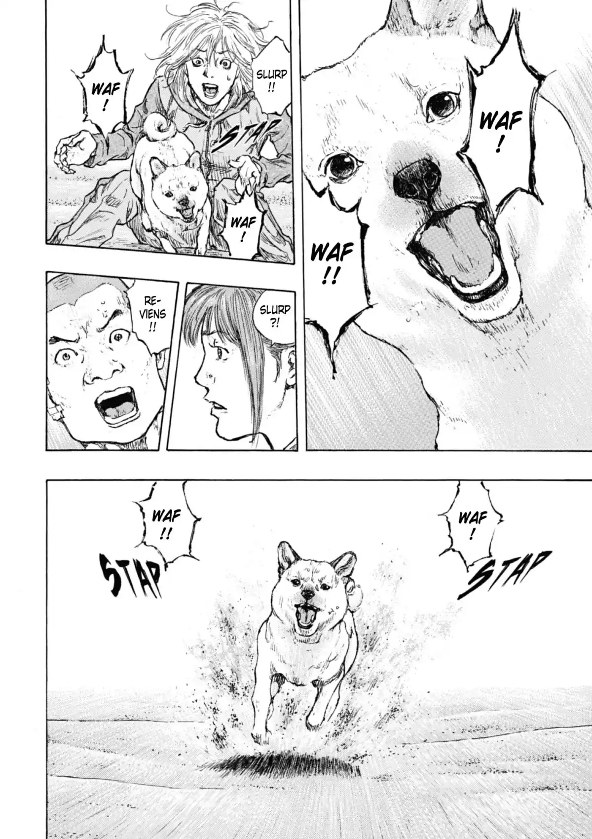 Coq de Combat Volume 32 page 116