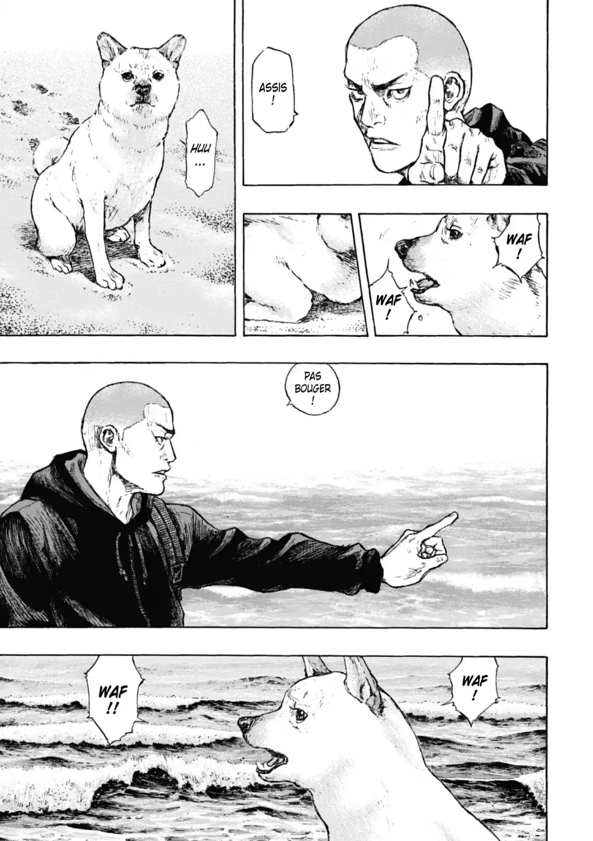 Coq de Combat Volume 32 page 119