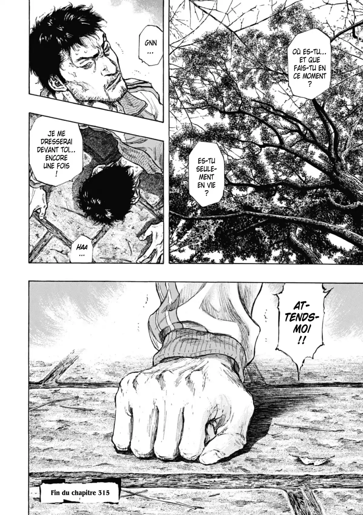 Coq de Combat Volume 32 page 80