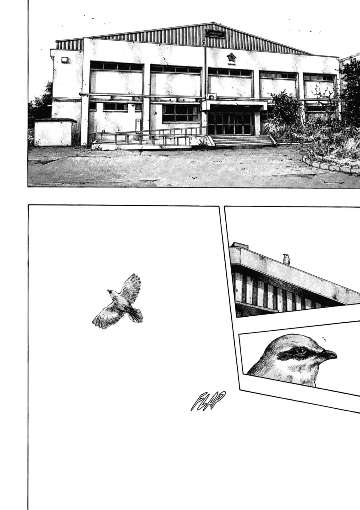 Coq de Combat Volume 32 page 84