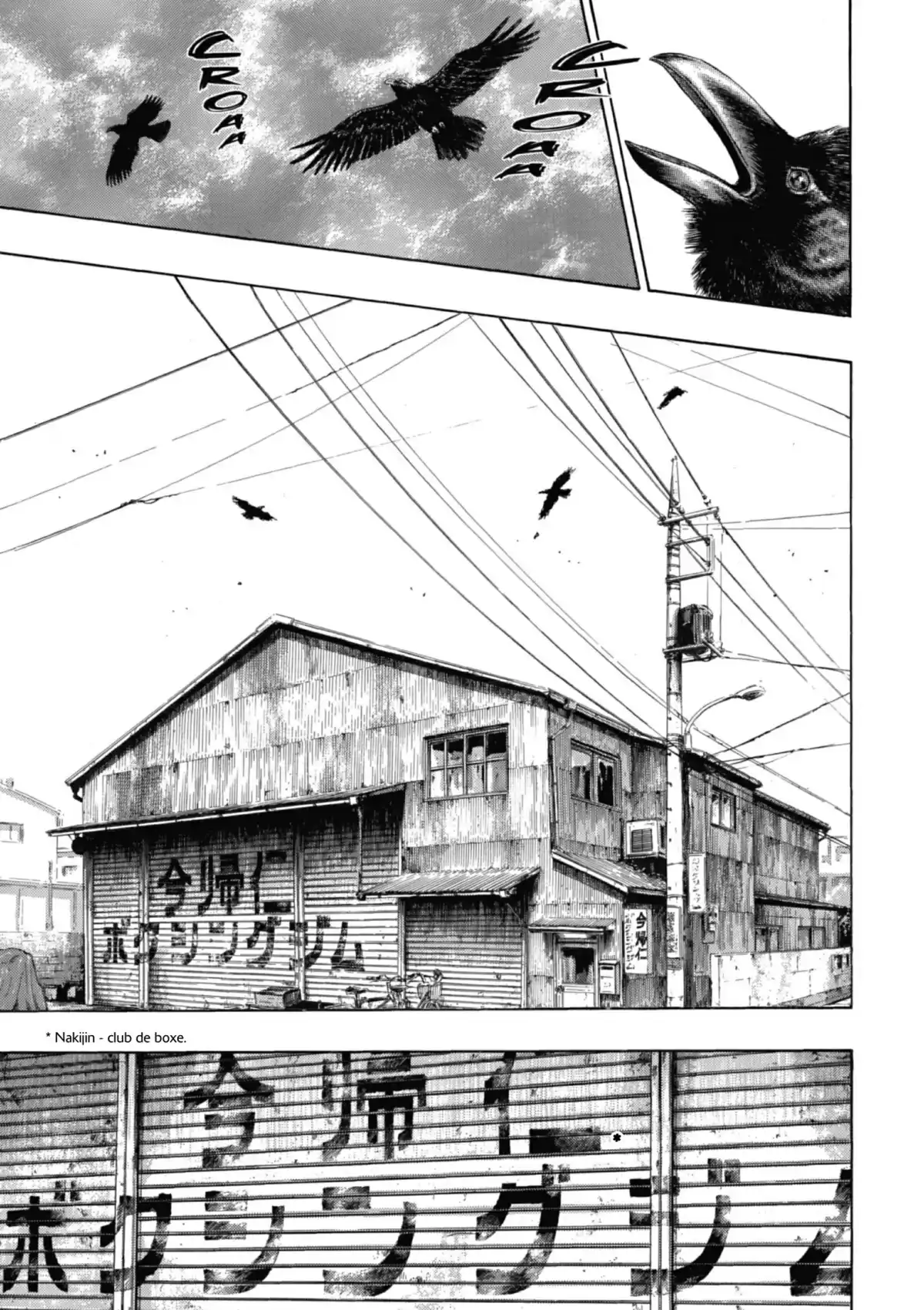 Coq de Combat Volume 22 page 107