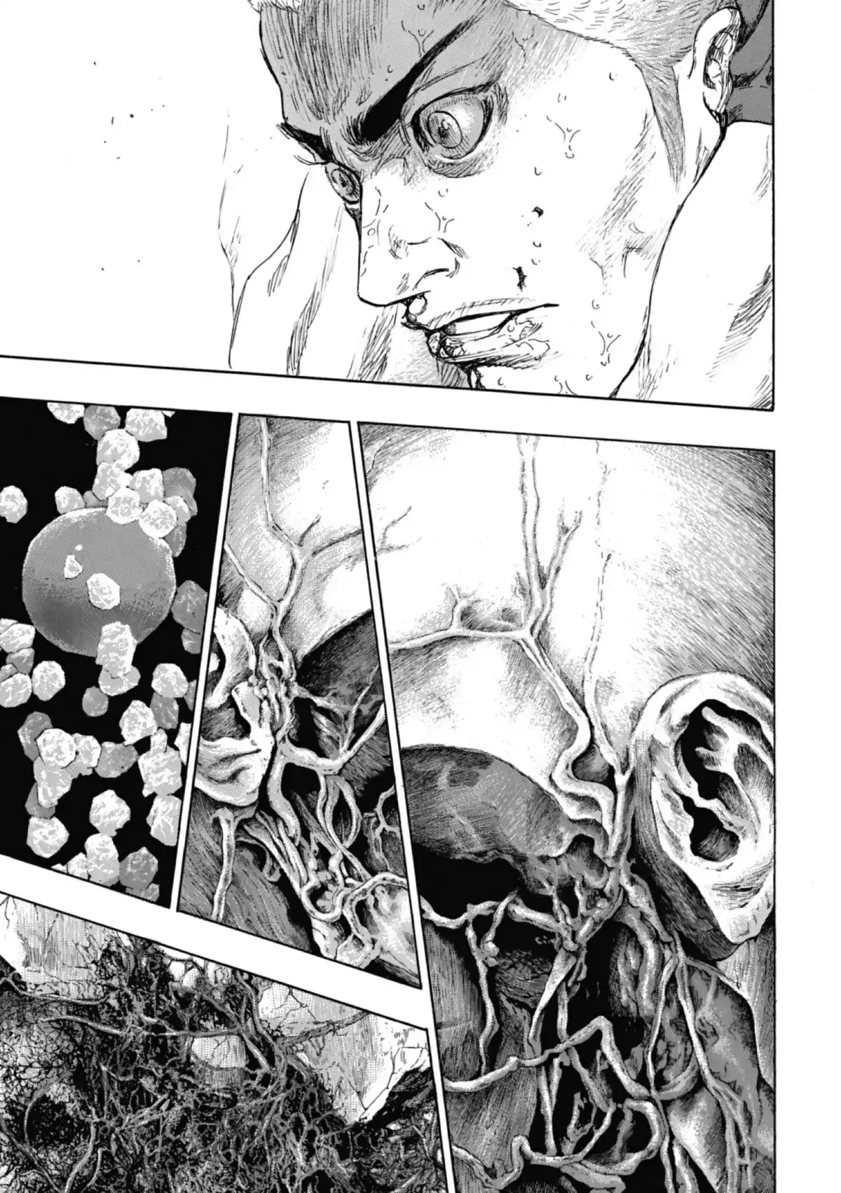 Coq de Combat Volume 22 page 135