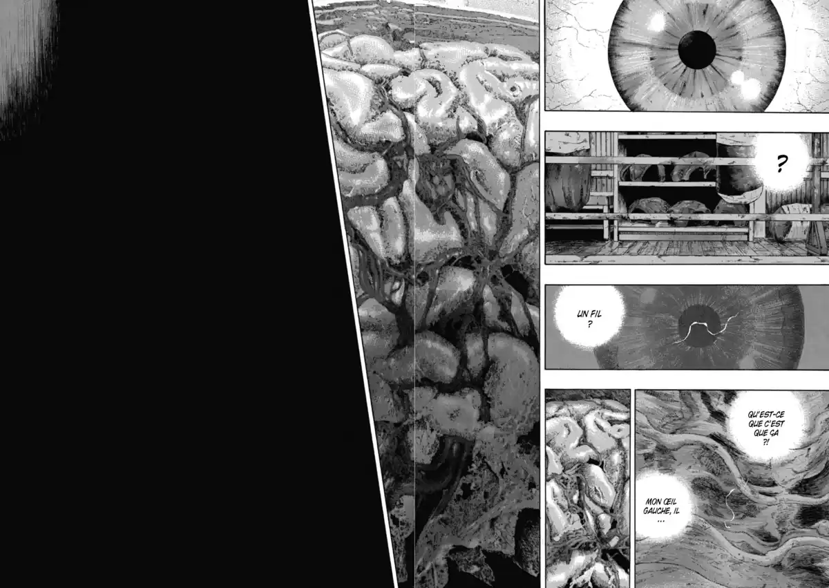 Coq de Combat Volume 22 page 137