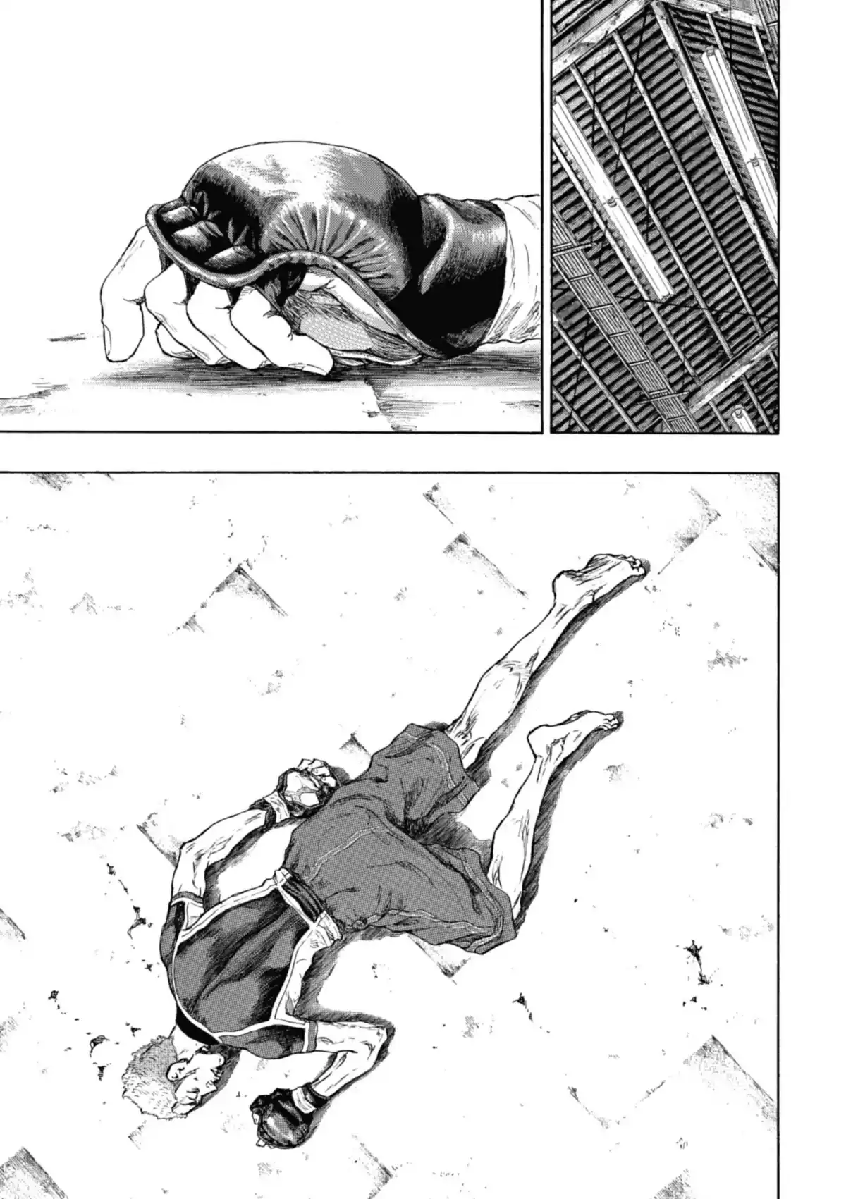 Coq de Combat Volume 22 page 139