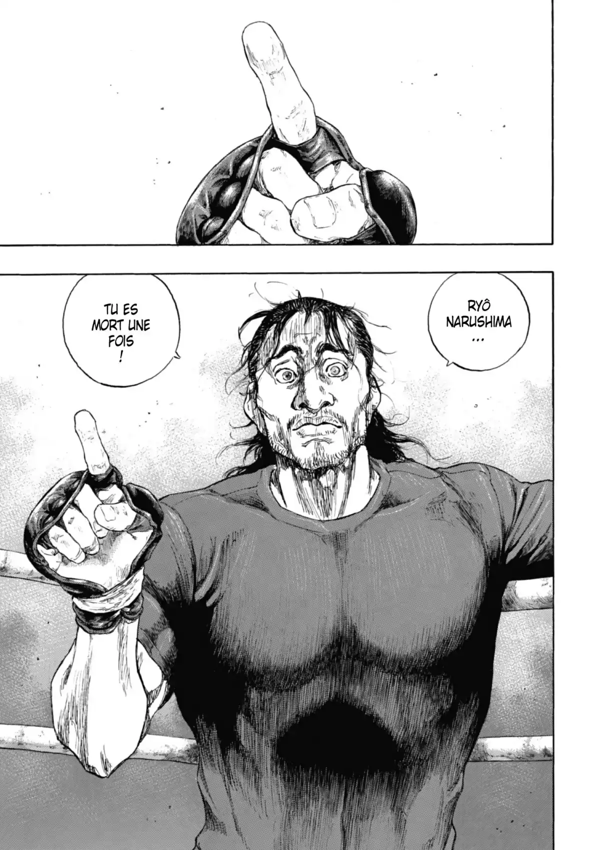 Coq de Combat Volume 22 page 141