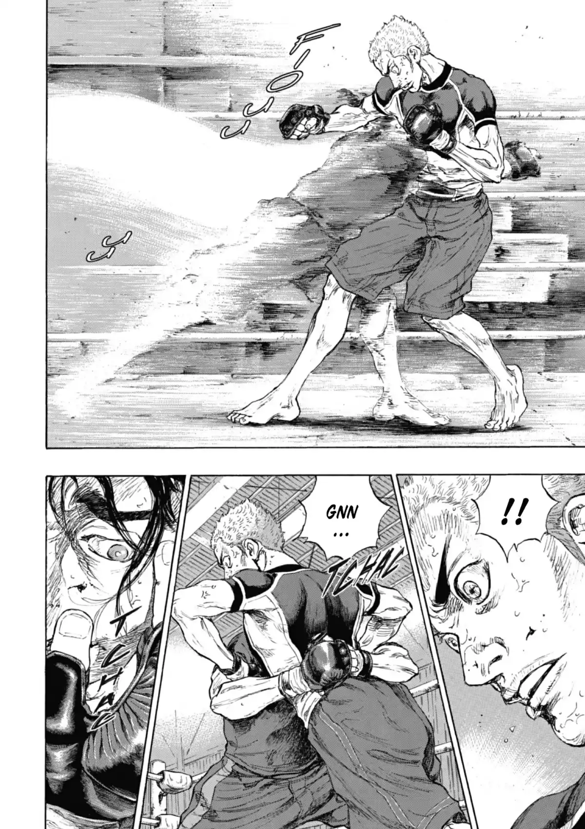 Coq de Combat Volume 22 page 146
