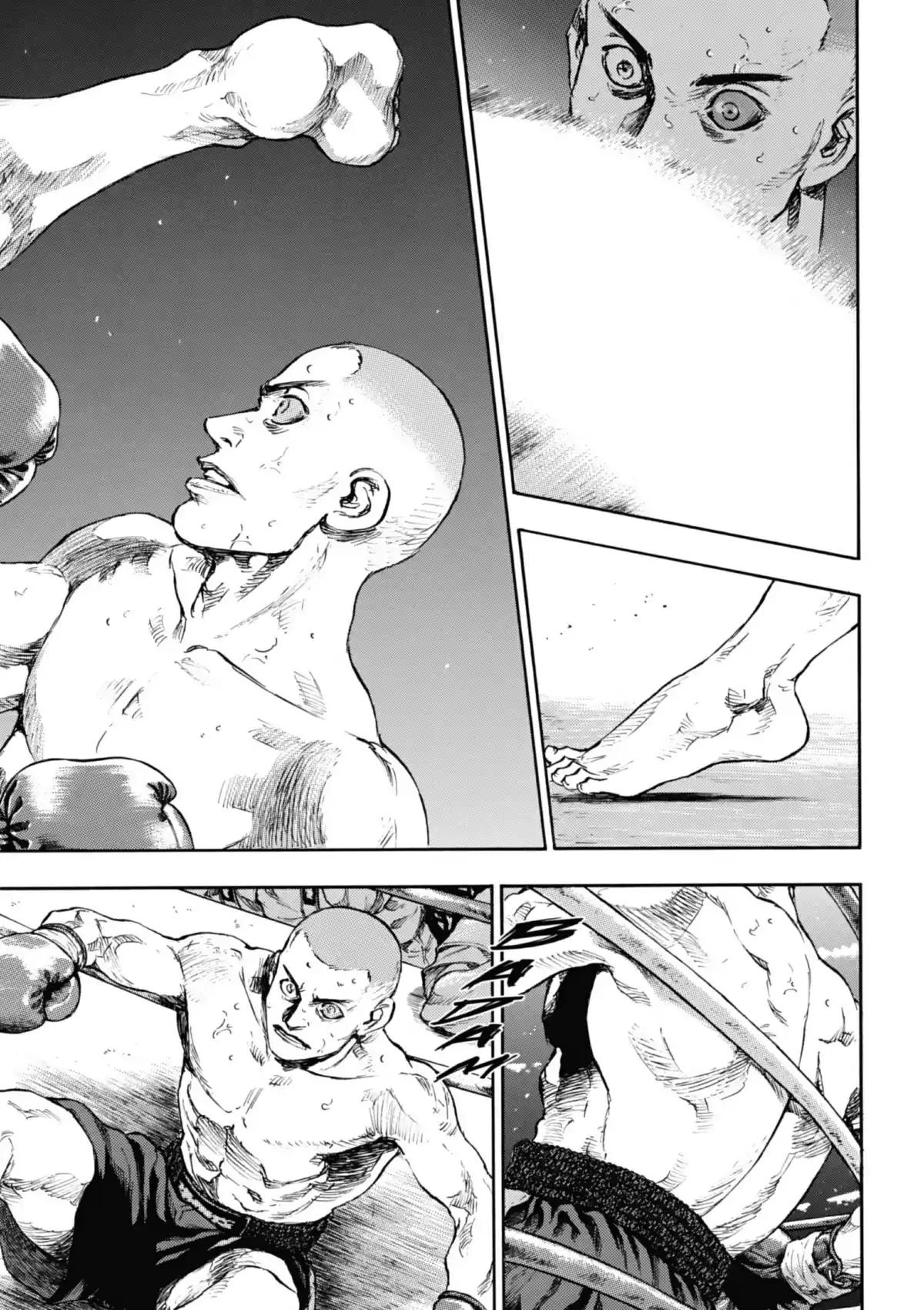 Coq de Combat Volume 10 page 51