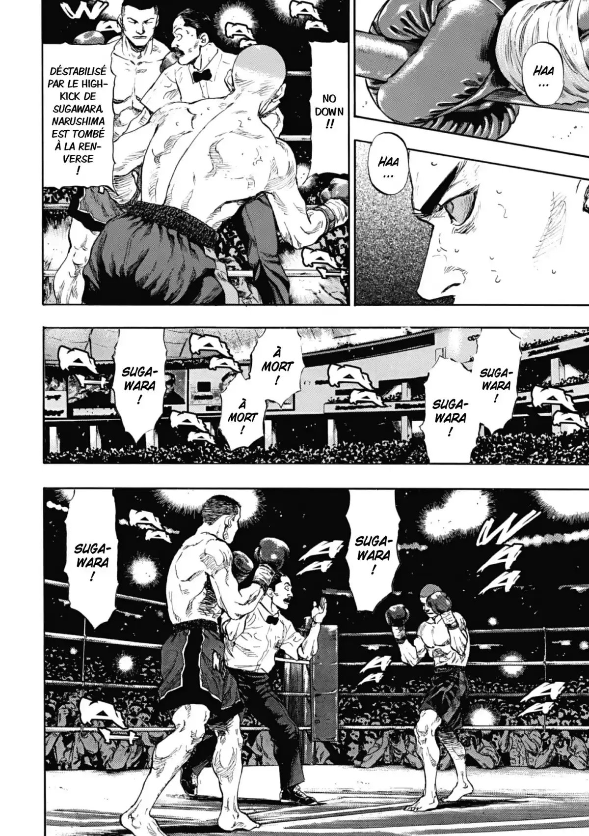 Coq de Combat Volume 10 page 52