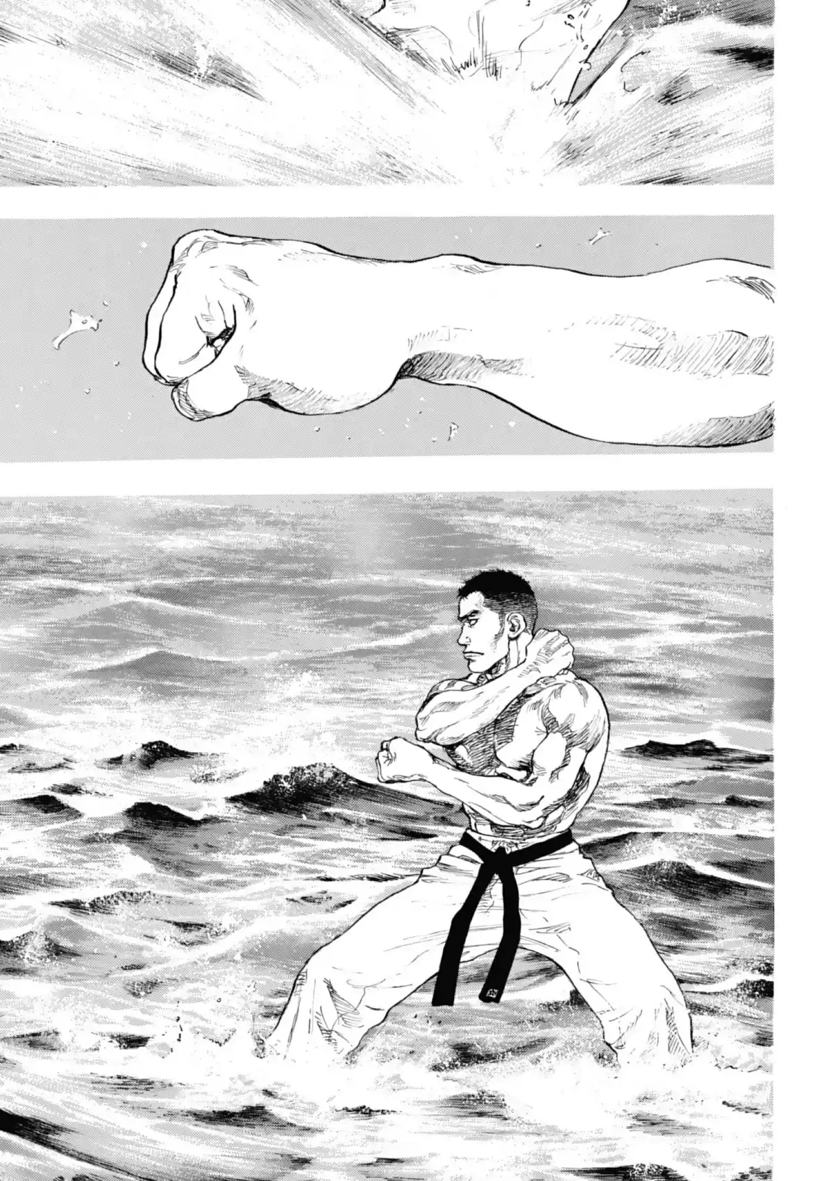 Coq de Combat Volume 10 page 69