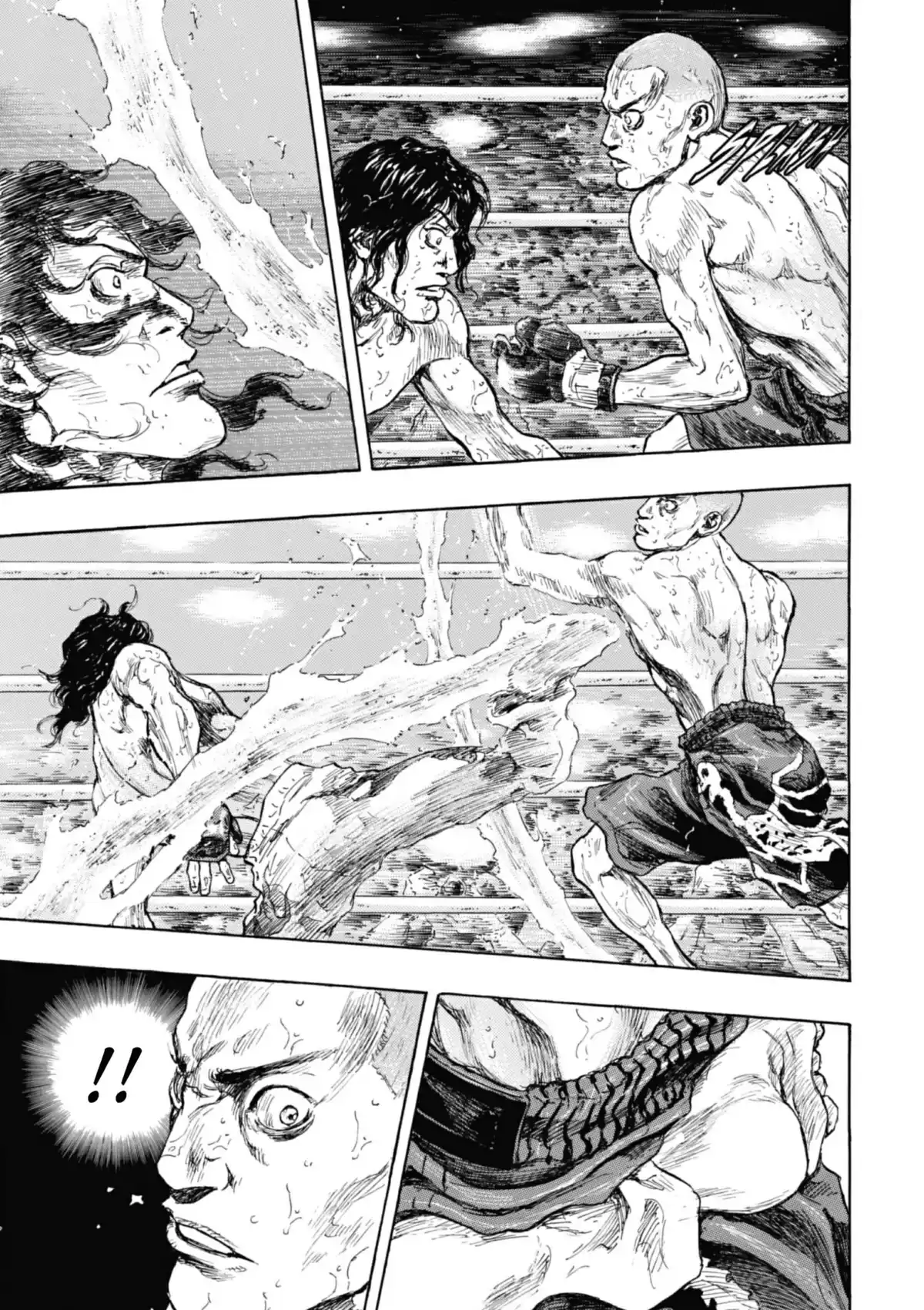 Coq de Combat Volume 28 page 29