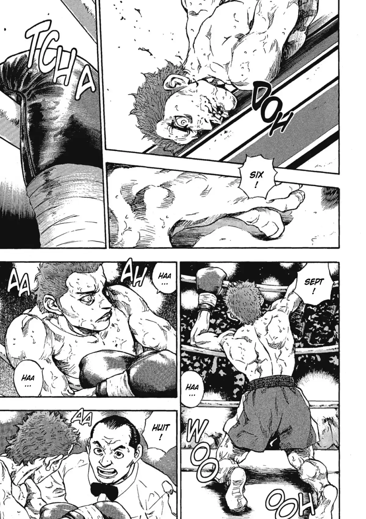 Coq de Combat Volume 6 page 176