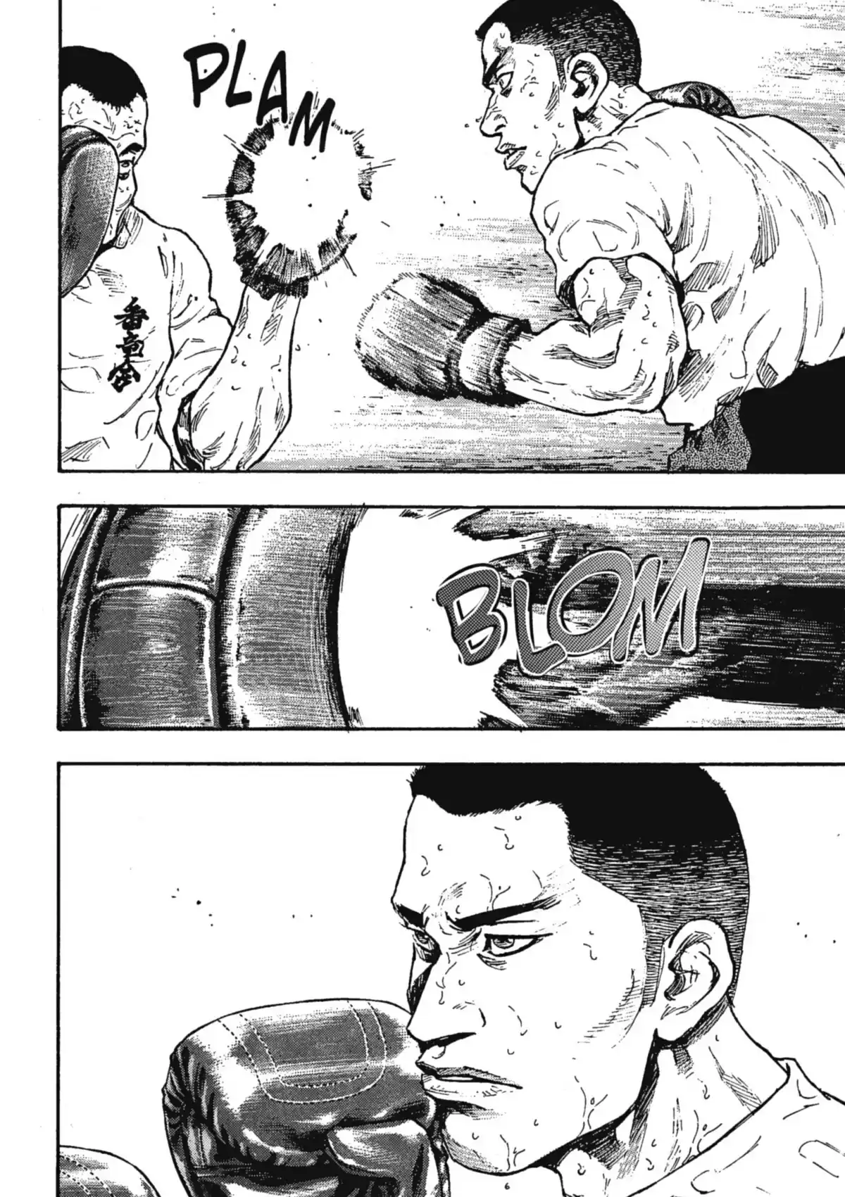Coq de Combat Volume 6 page 200