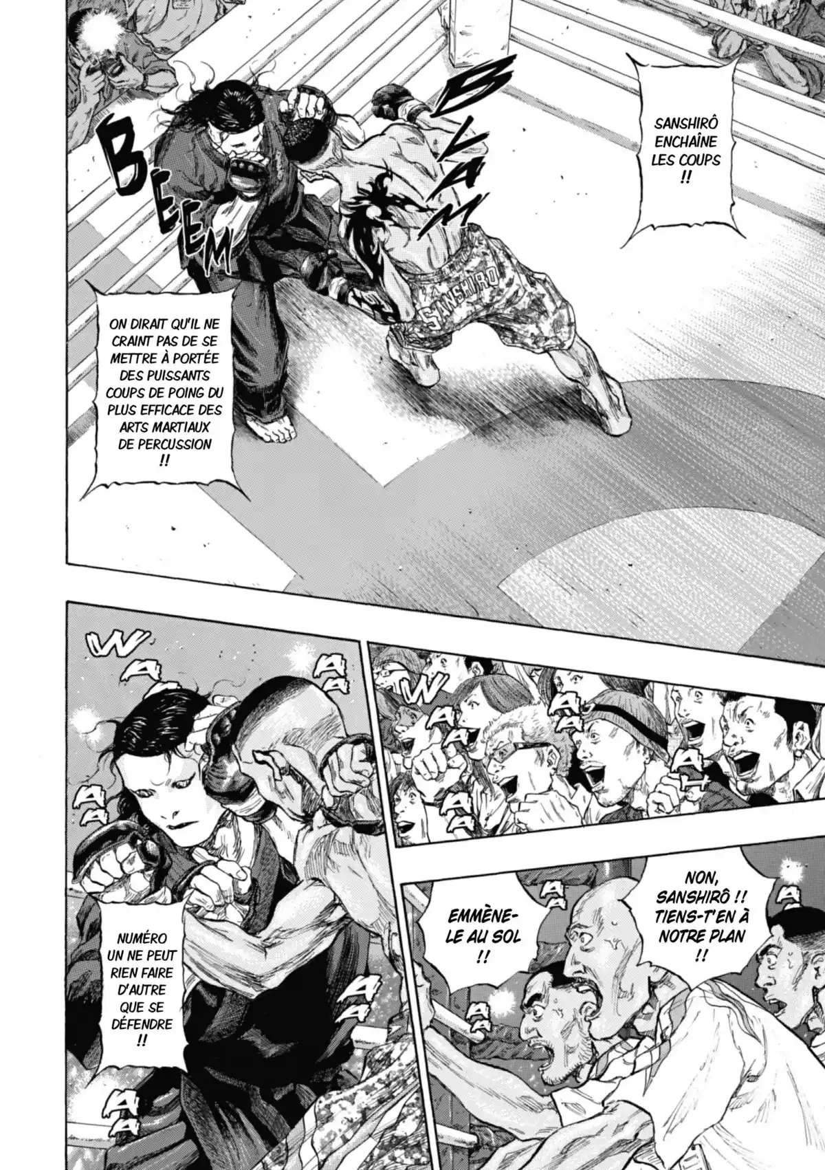 Coq de Combat Volume 24 page 143