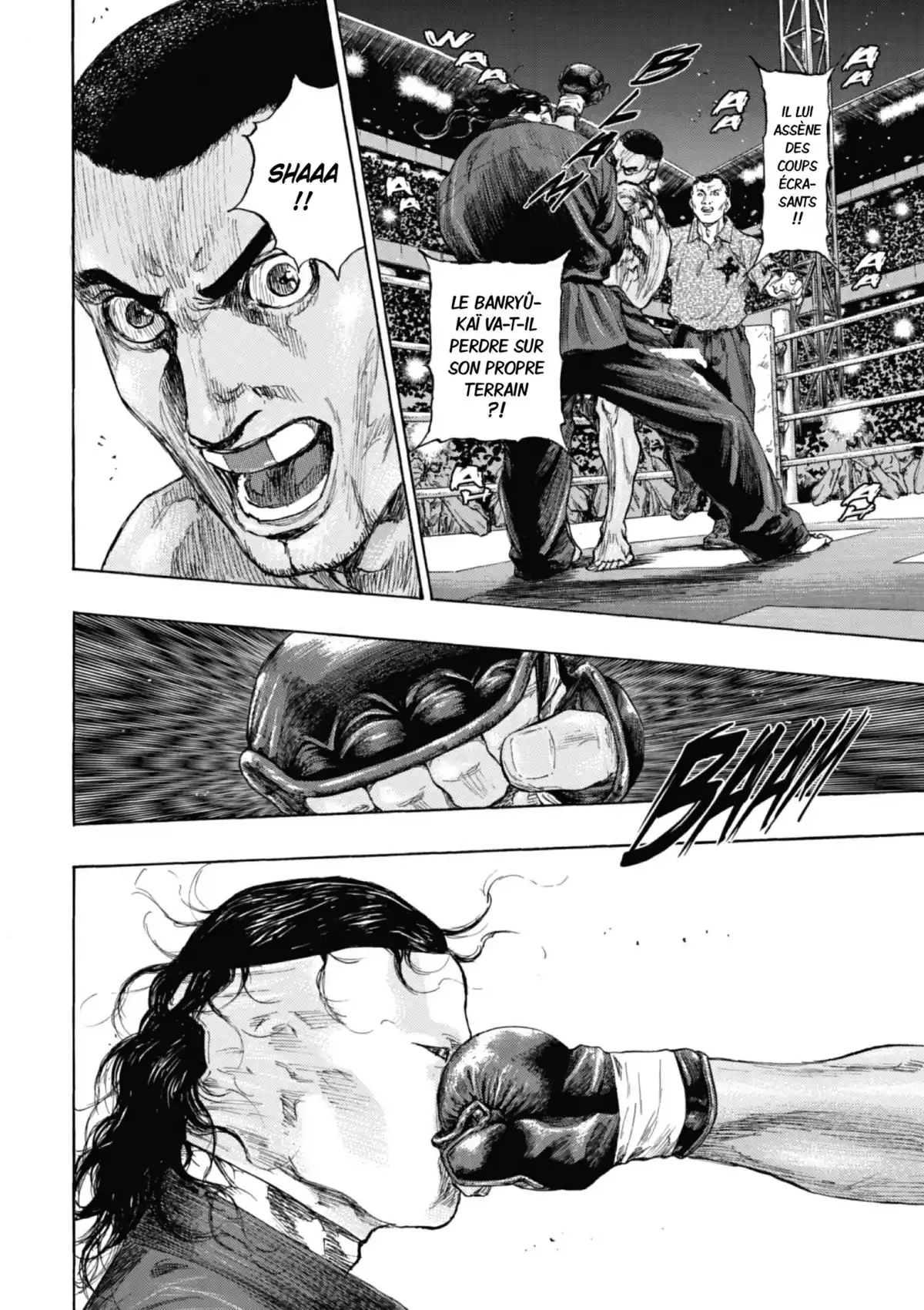 Coq de Combat Volume 24 page 145