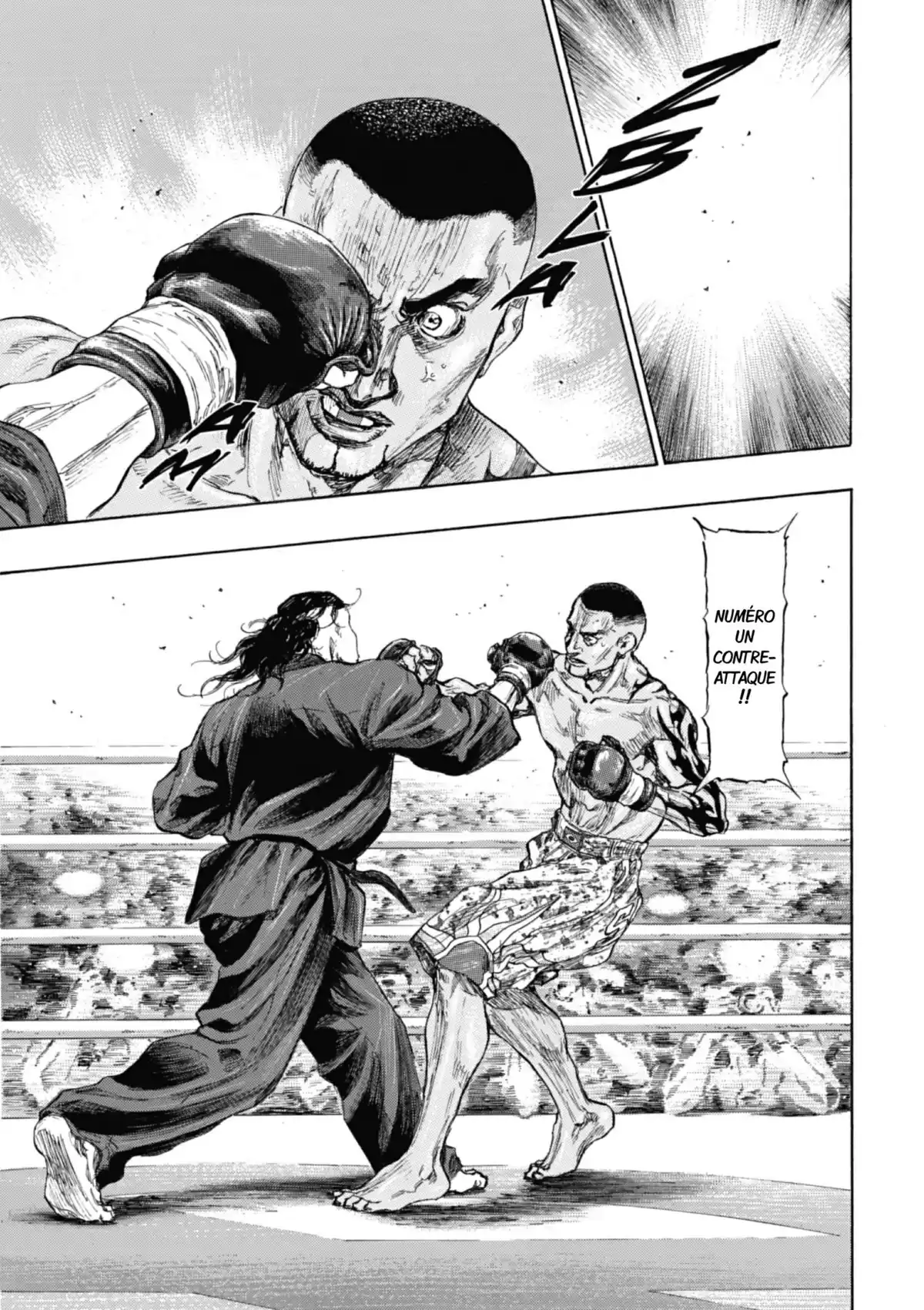 Coq de Combat Volume 24 page 146
