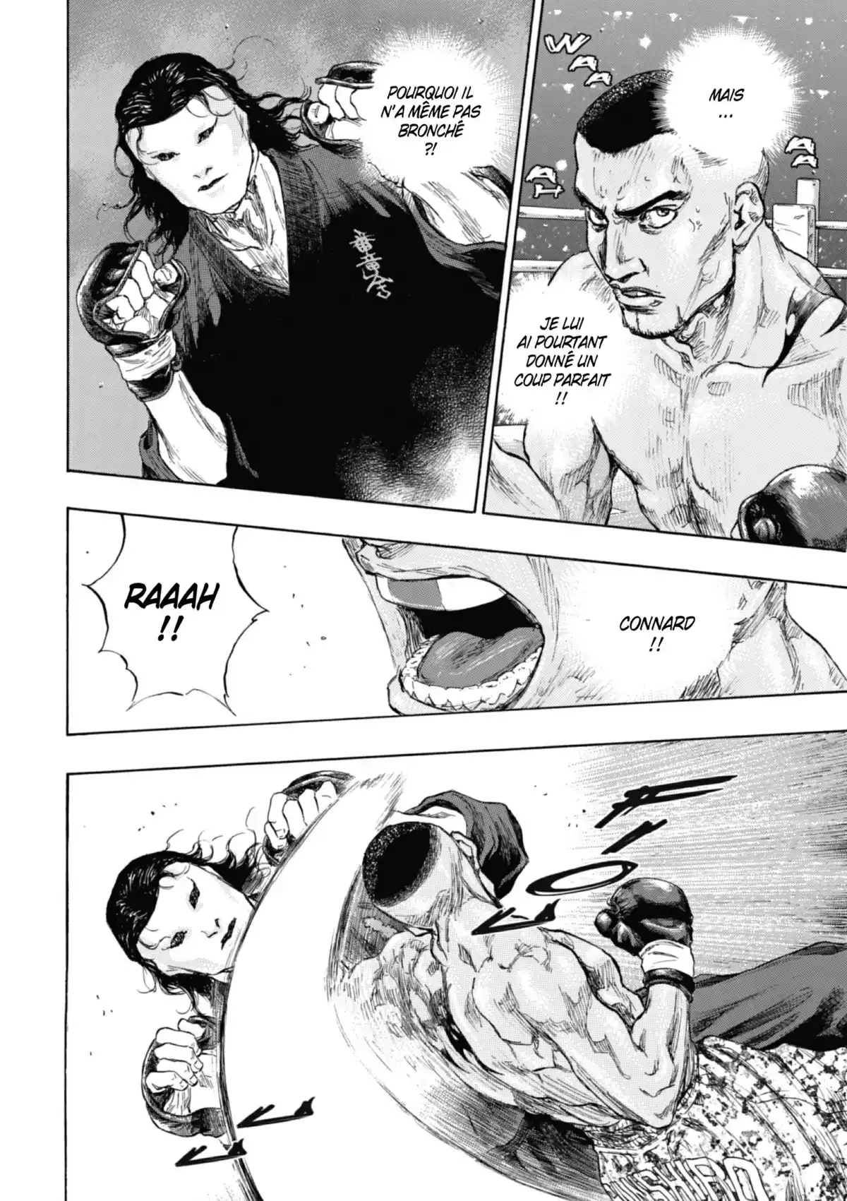 Coq de Combat Volume 24 page 147