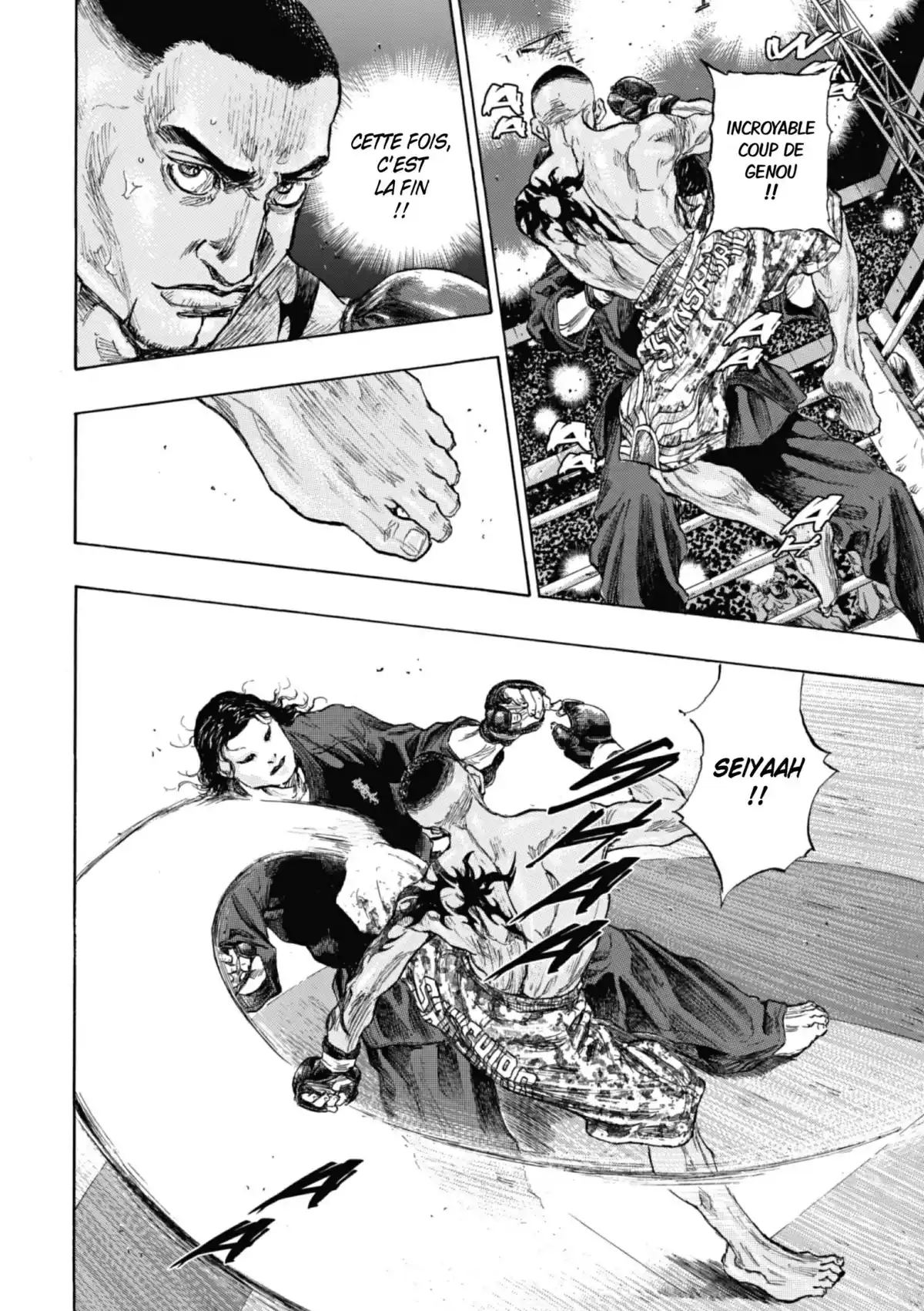 Coq de Combat Volume 24 page 149