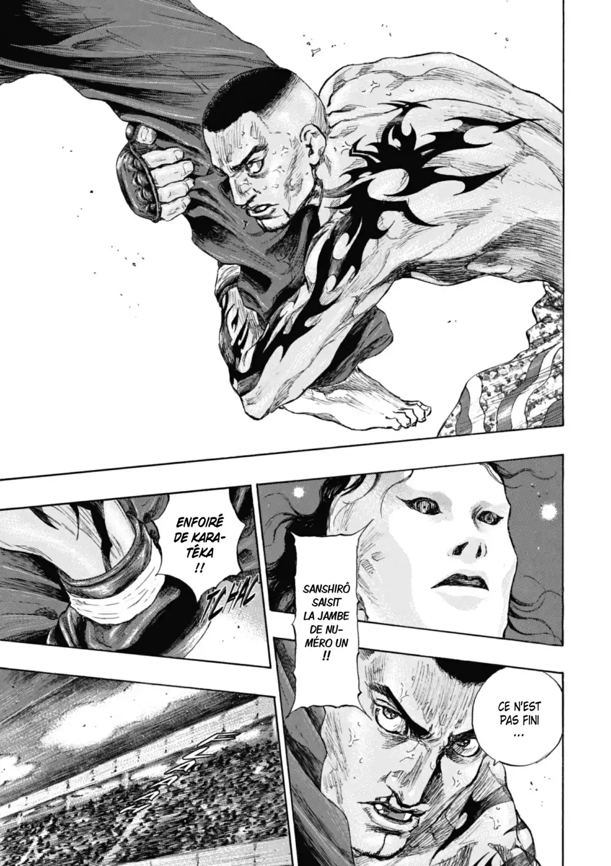 Coq de Combat Volume 24 page 162