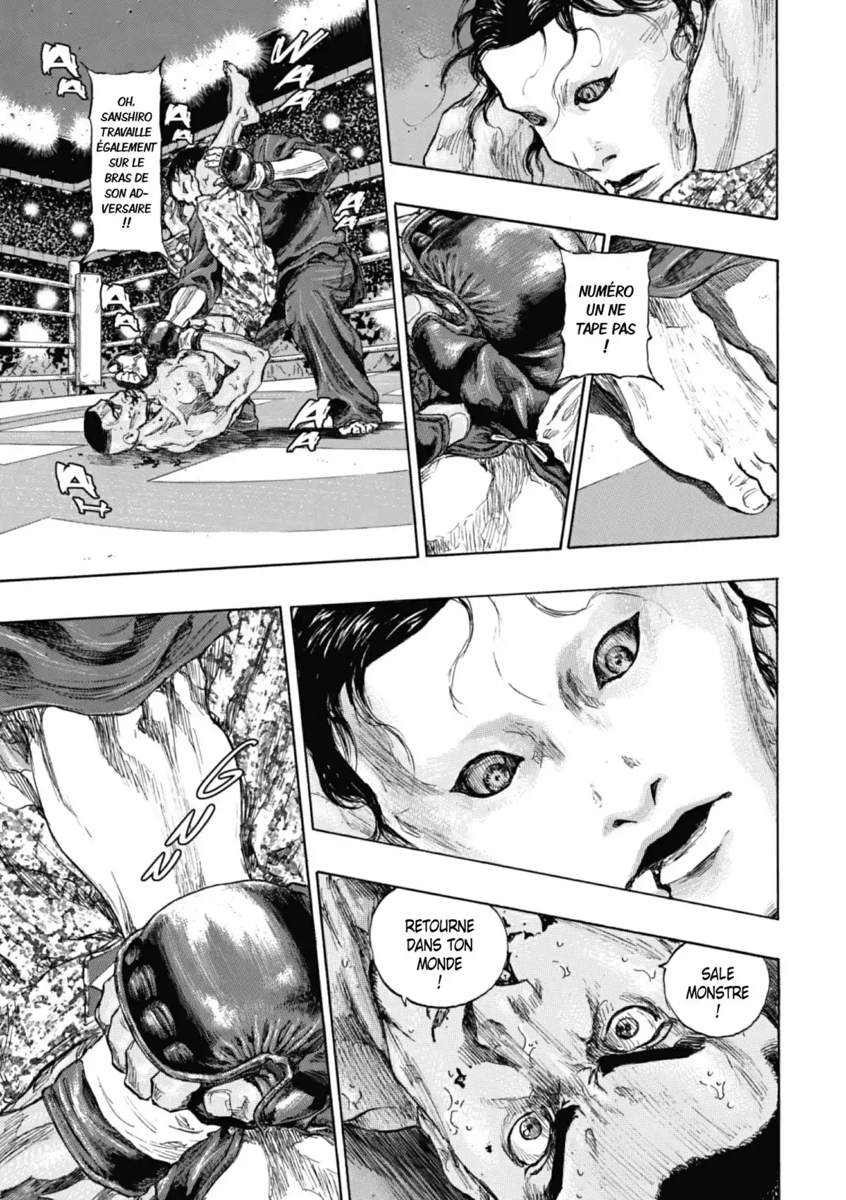 Coq de Combat Volume 24 page 176