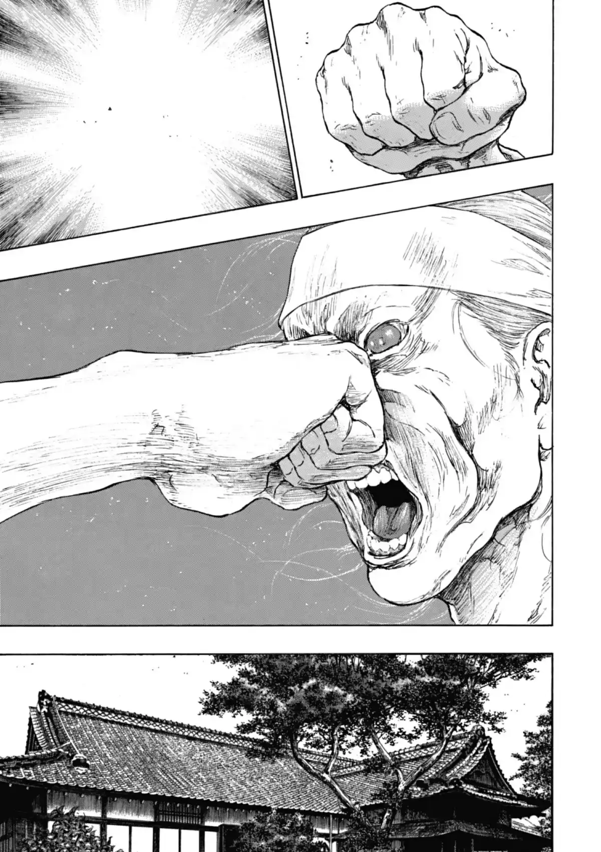 Coq de Combat Volume 24 page 80