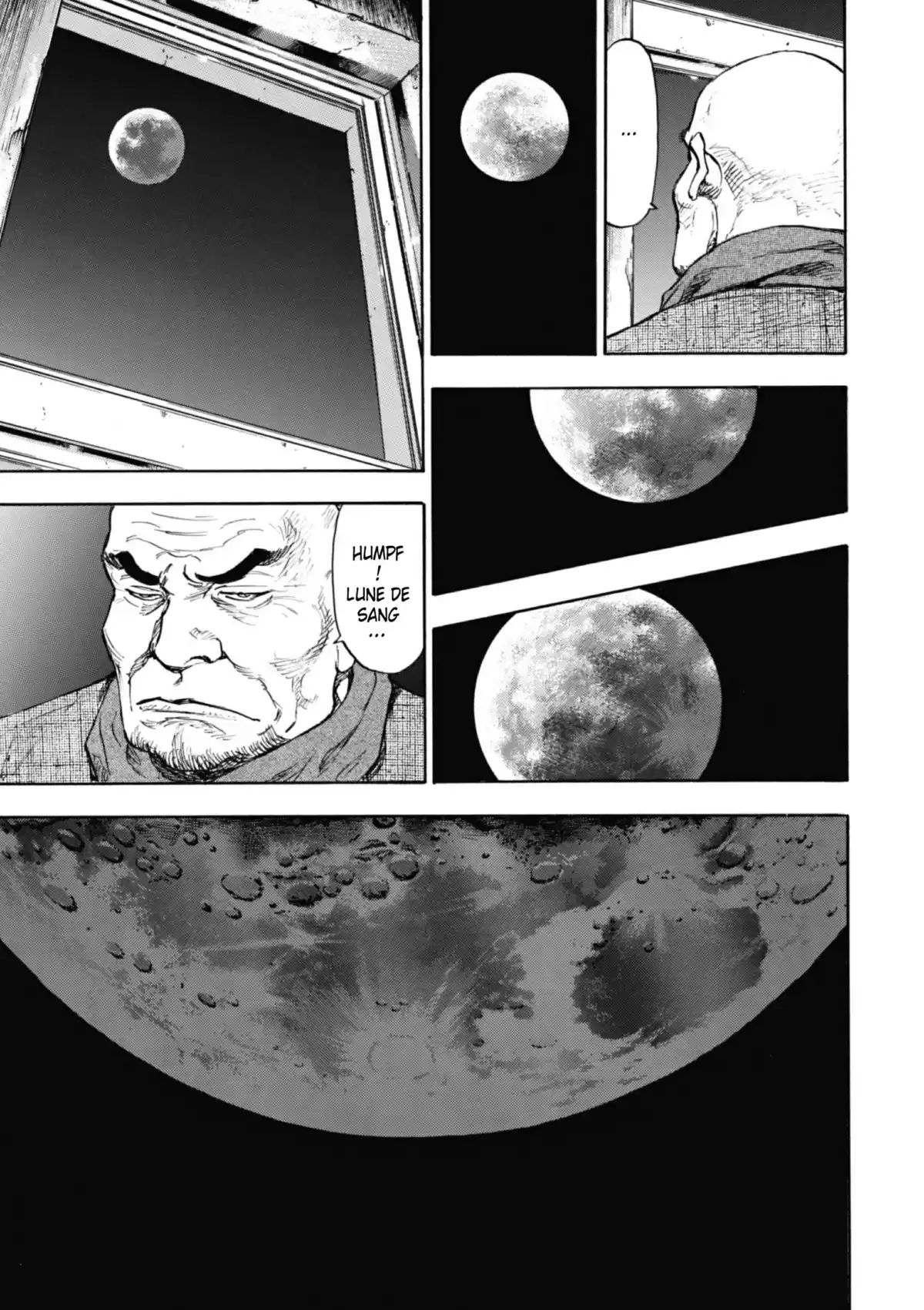 Coq de Combat Volume 13 page 102