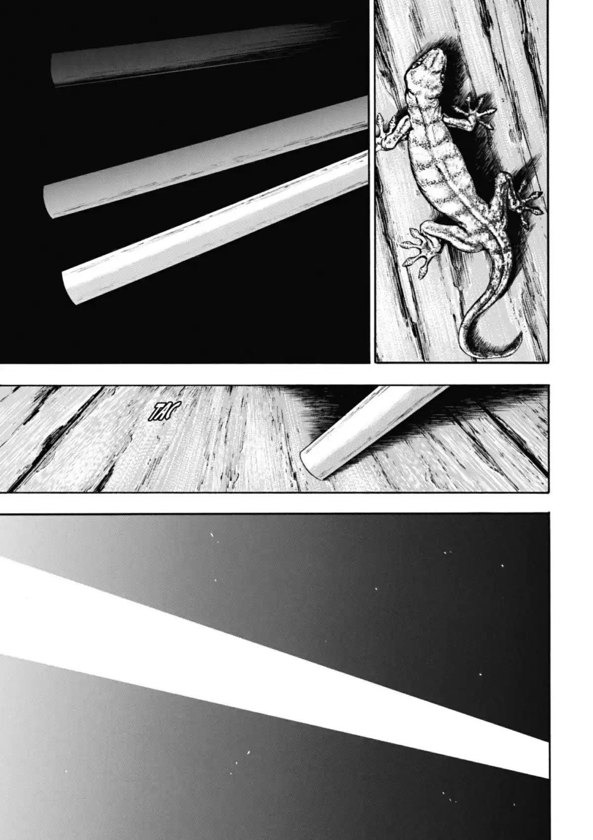 Coq de Combat Volume 13 page 24