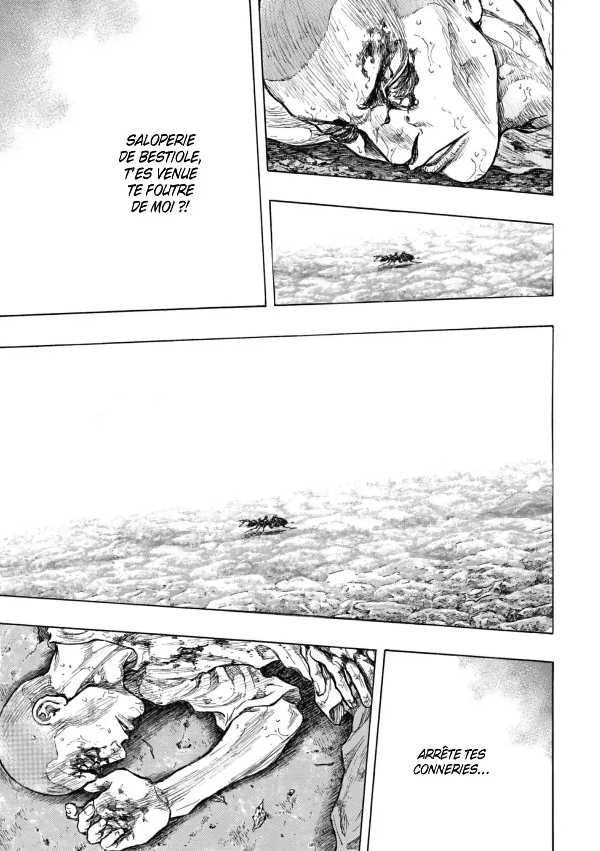 Coq de Combat Volume 34 page 74