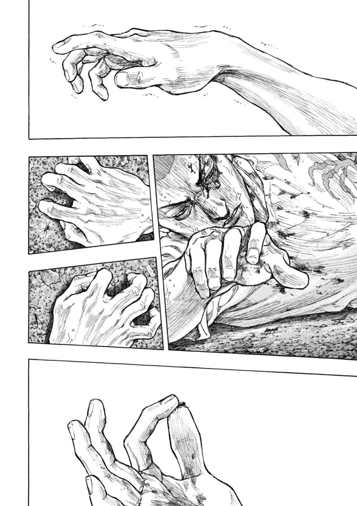 Coq de Combat Volume 34 page 75