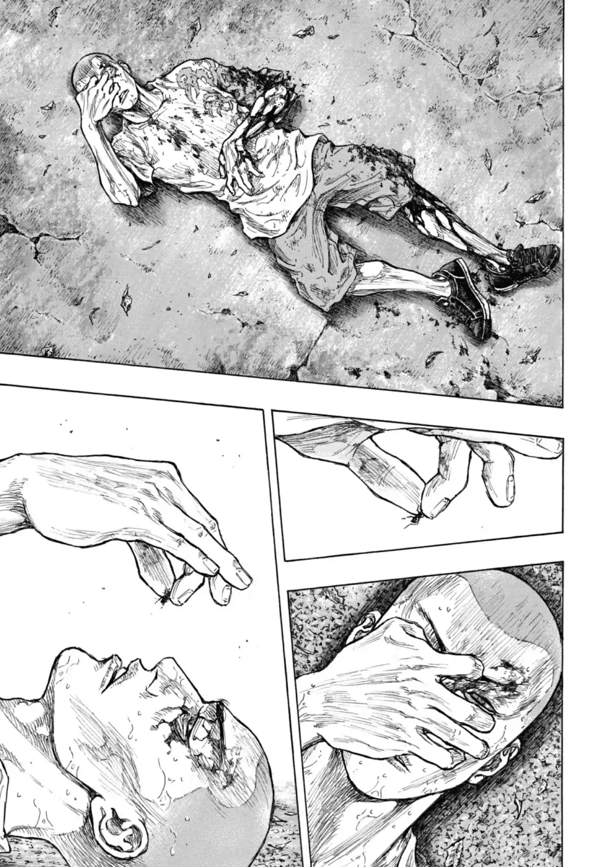 Coq de Combat Volume 34 page 76