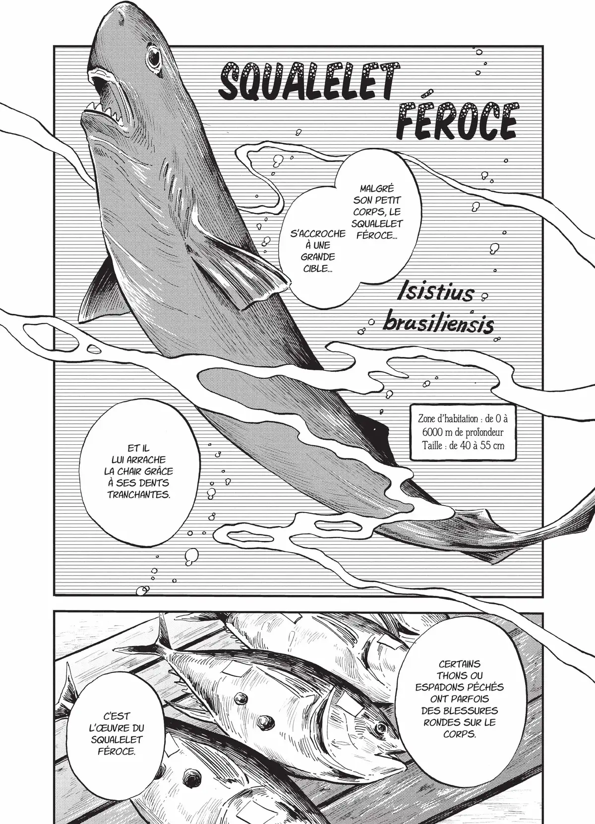 Deep Sea Aquarium Magmell Volume 7 page 40