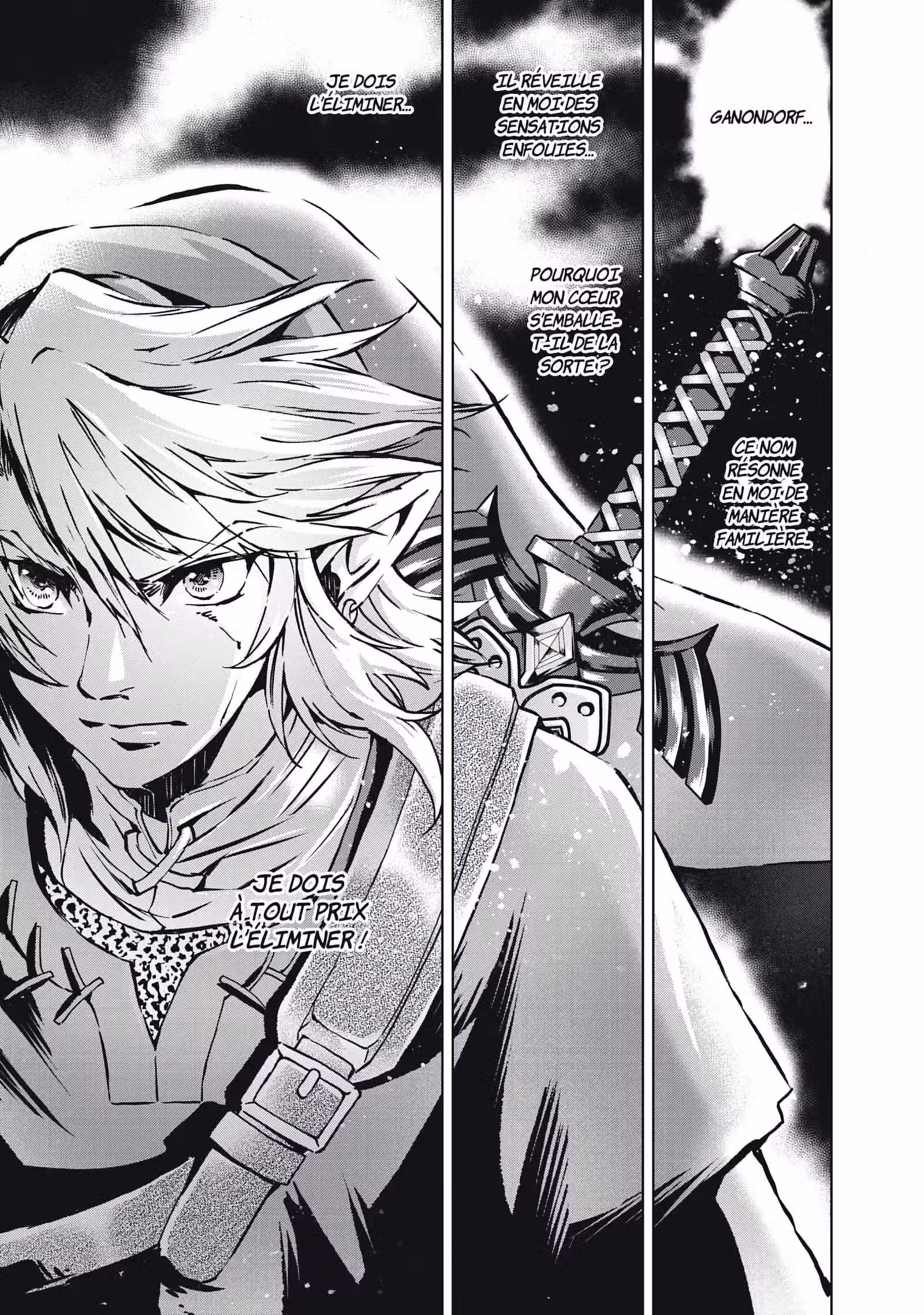 The Legend of Zelda – Twilight Princess Volume 6 page 14