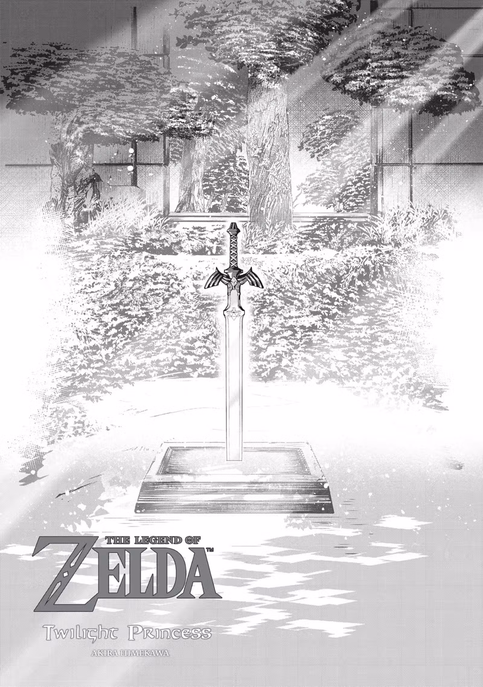 The Legend of Zelda – Twilight Princess Volume 5 page 2