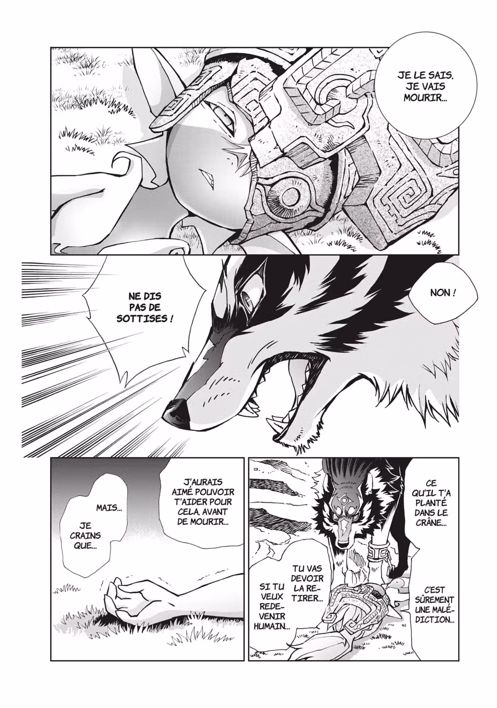 The Legend of Zelda – Twilight Princess Volume 5 page 33