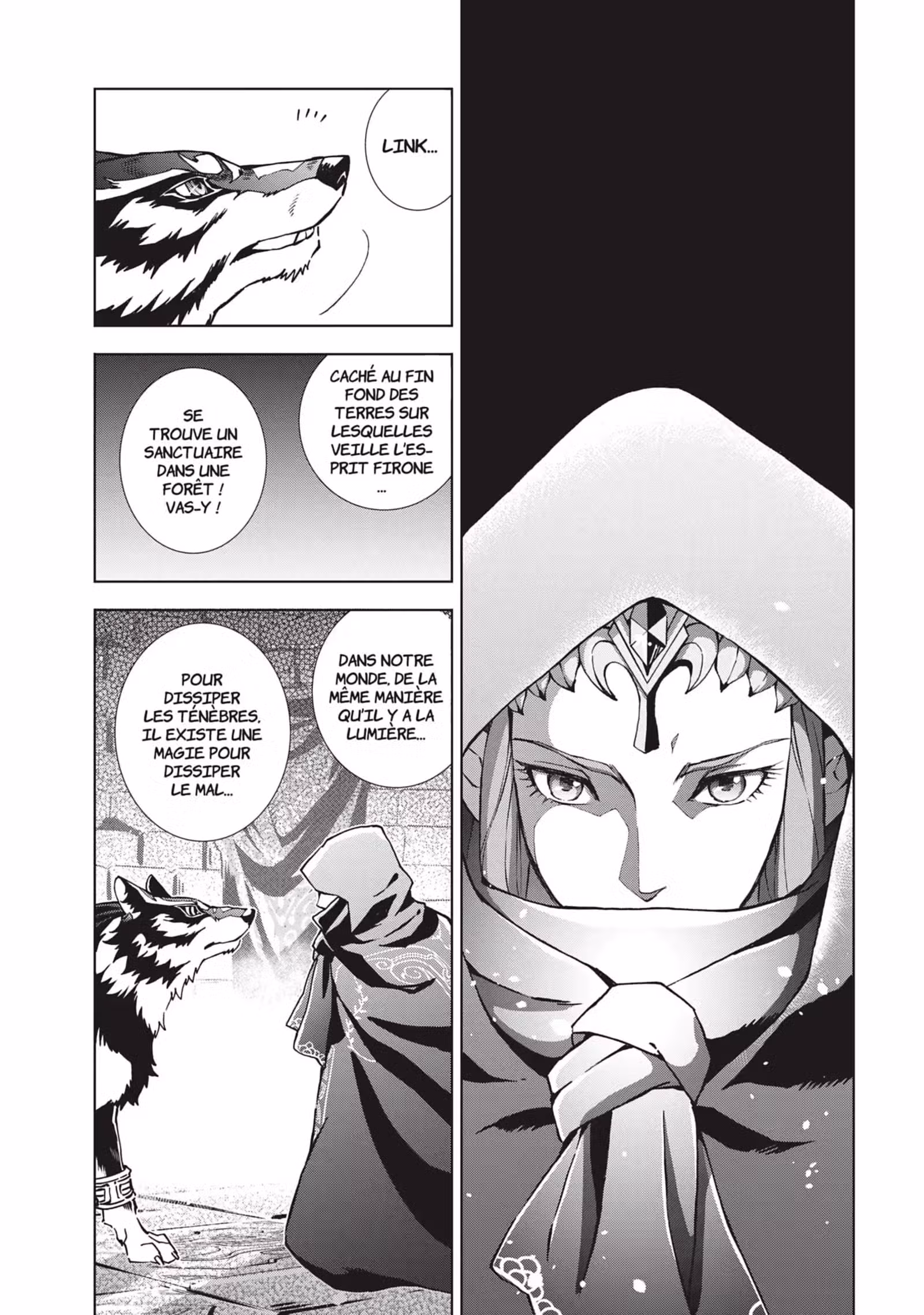 The Legend of Zelda – Twilight Princess Volume 5 page 73
