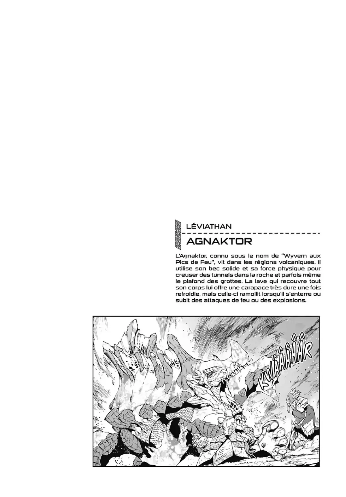 Monster Hunter Flash Volume 9 page 29