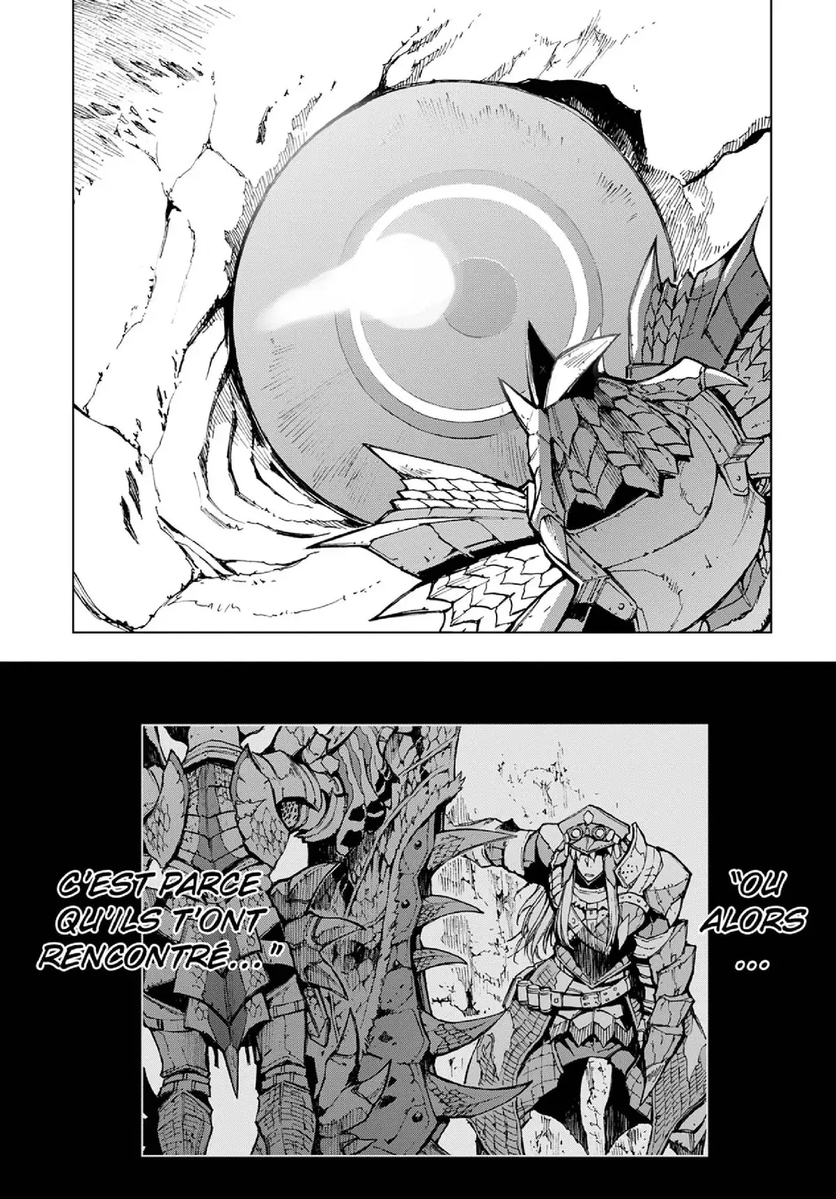 Monster Hunter Flash Volume 10 page 45