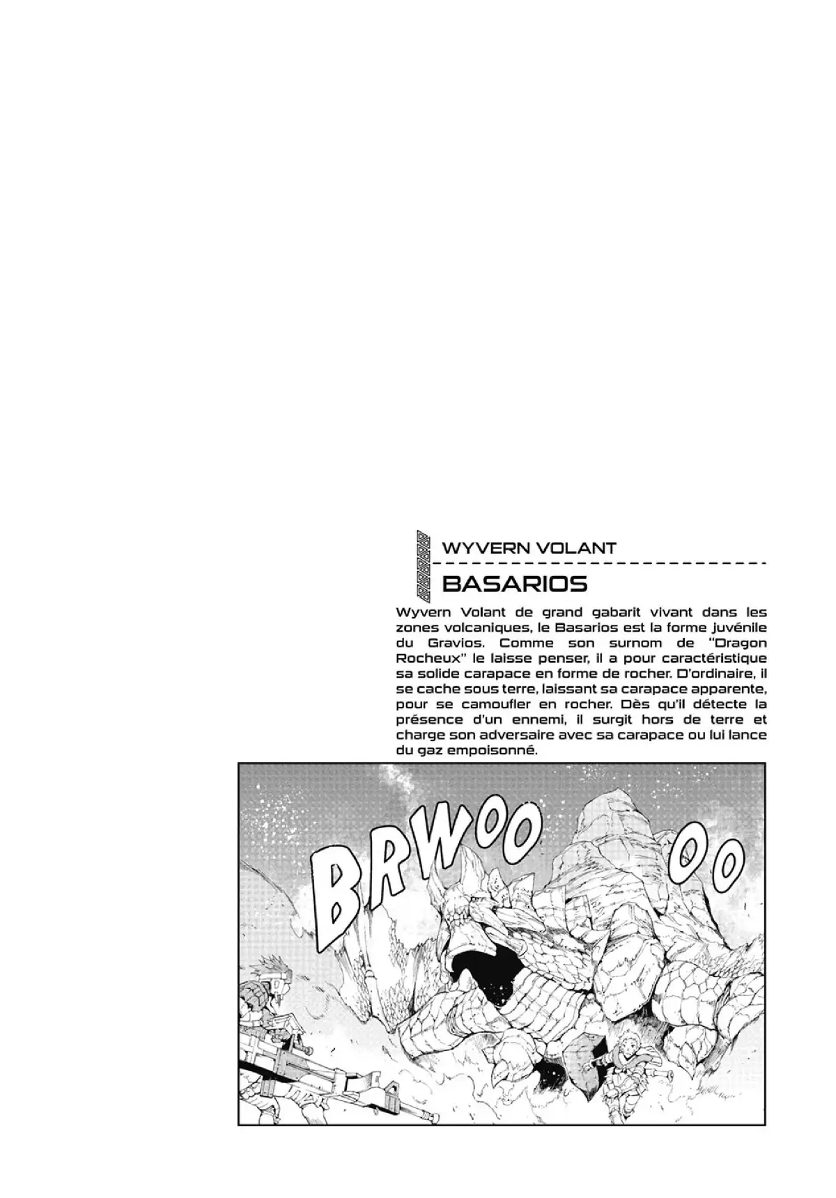 Monster Hunter Flash Volume 8 page 29