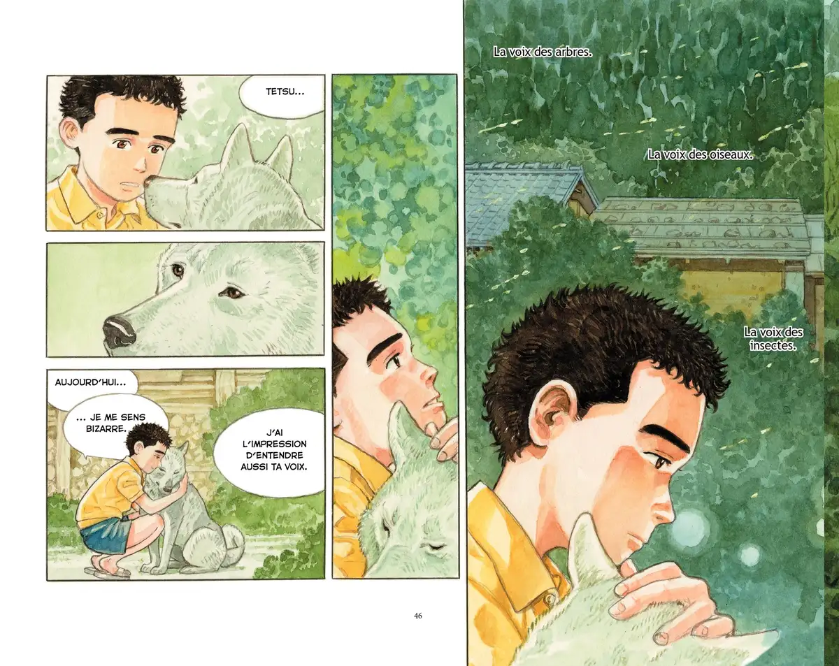 La Forêt millénaire Volume 1 page 39