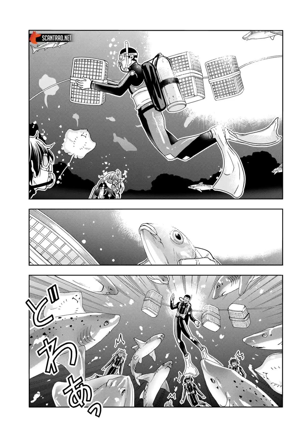 Grand Blue Chapitre 81 page 46
