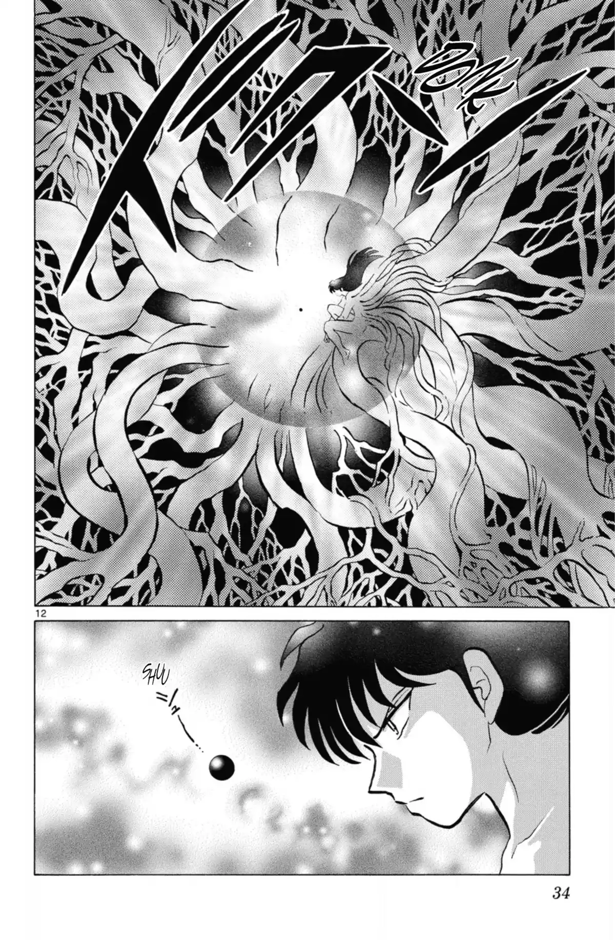 Inu-Yasha Volume 55 page 33