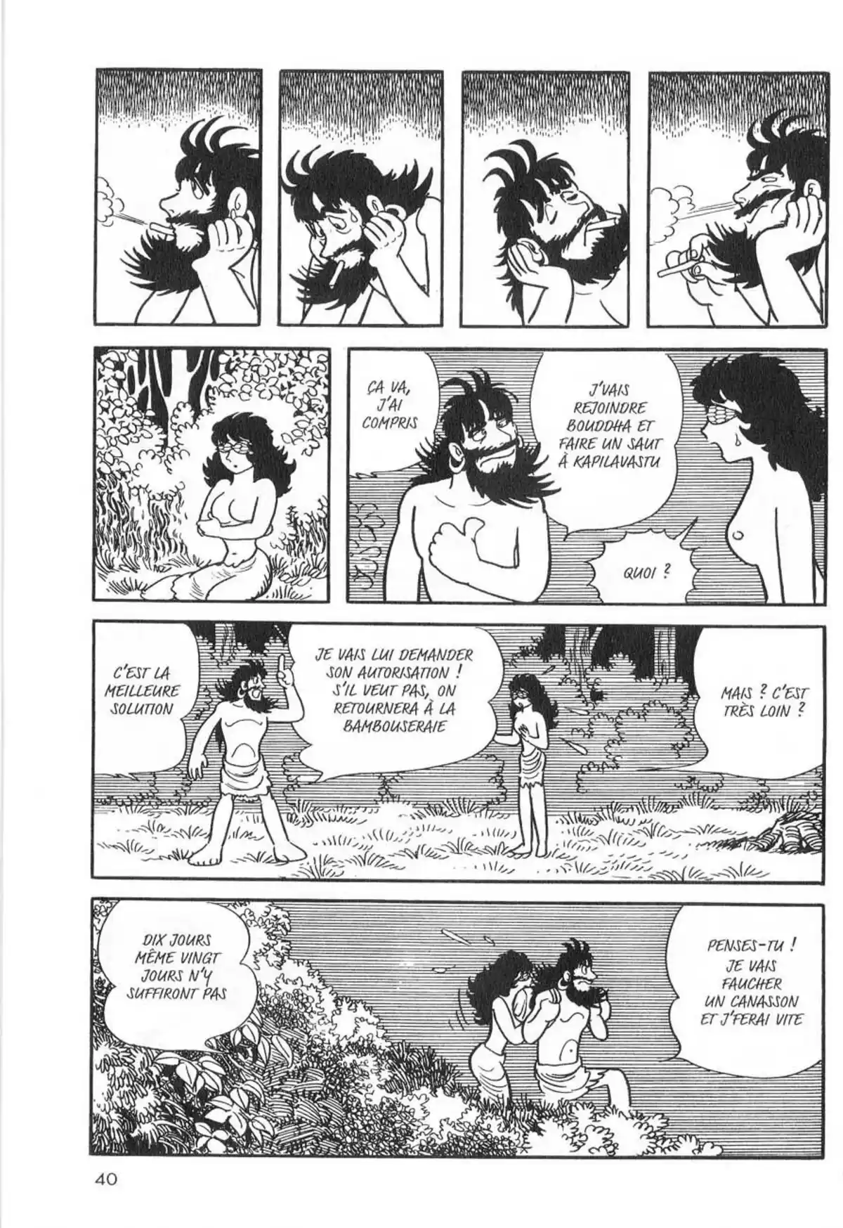 La Vie de Bouddha Volume 8 page 41